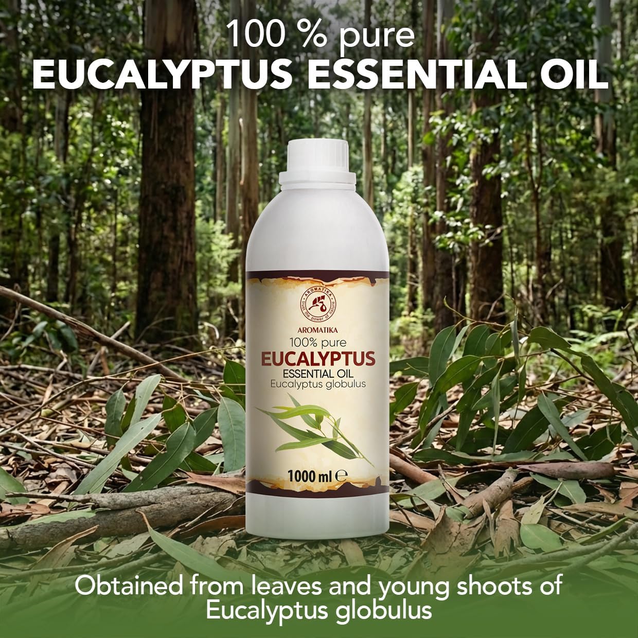 Eucalyptus Essential Oil 34 Fl Oz - Eucalyptus Globulus - 100% Pure Eucalyptus EO for Freshen Rooms - Home Fragrances - Aromatherapy - Diffuser - Aroma Lamps - Making Candles - Scented Oils