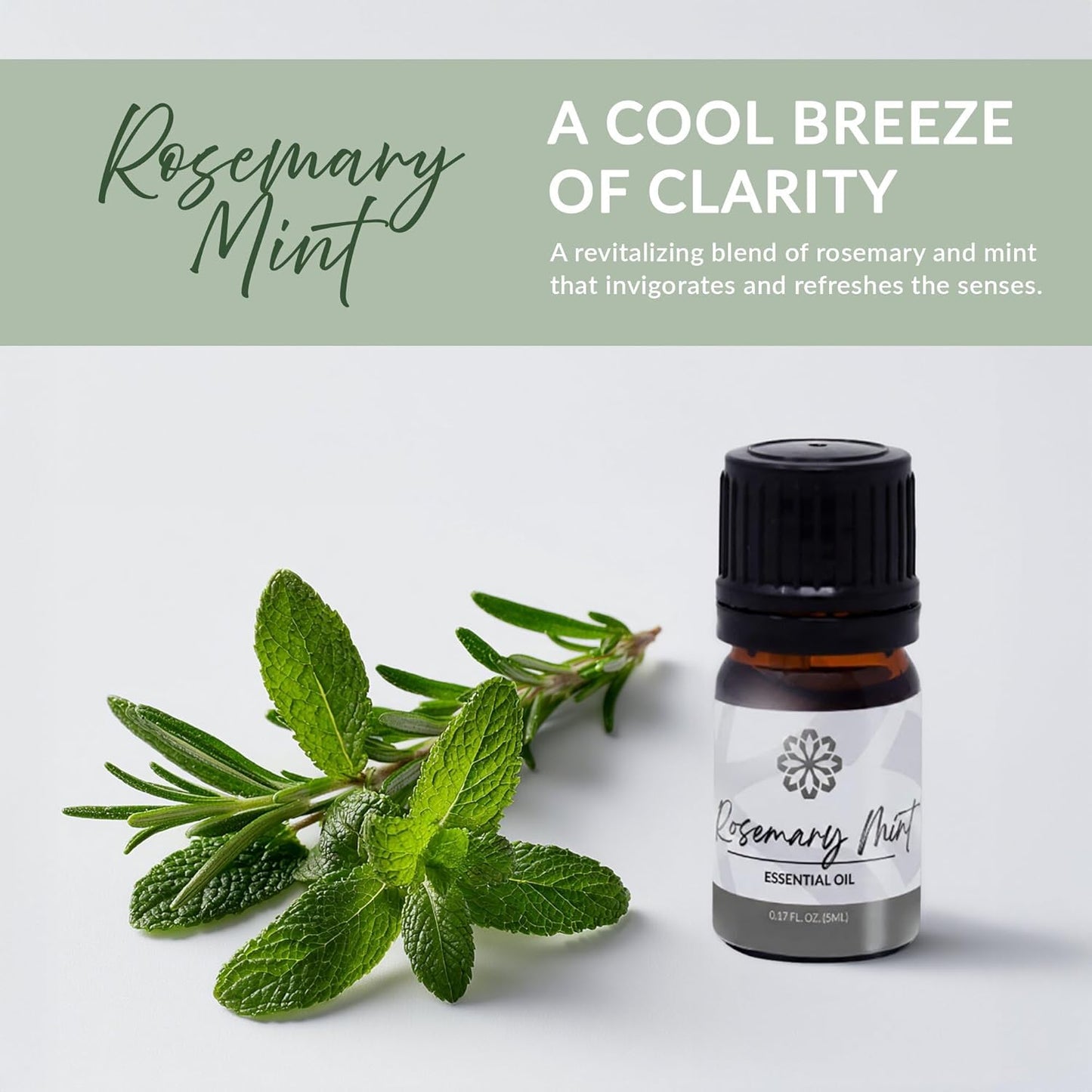 Essence Rosemary Mint Essential Oil, 5 ml | Aromatherapy Oil for Diffusers & Personal Use | Natural Fragrance for Relaxation, Clarity & Wellness | Made in USA | Herbal & Refreshing Scent