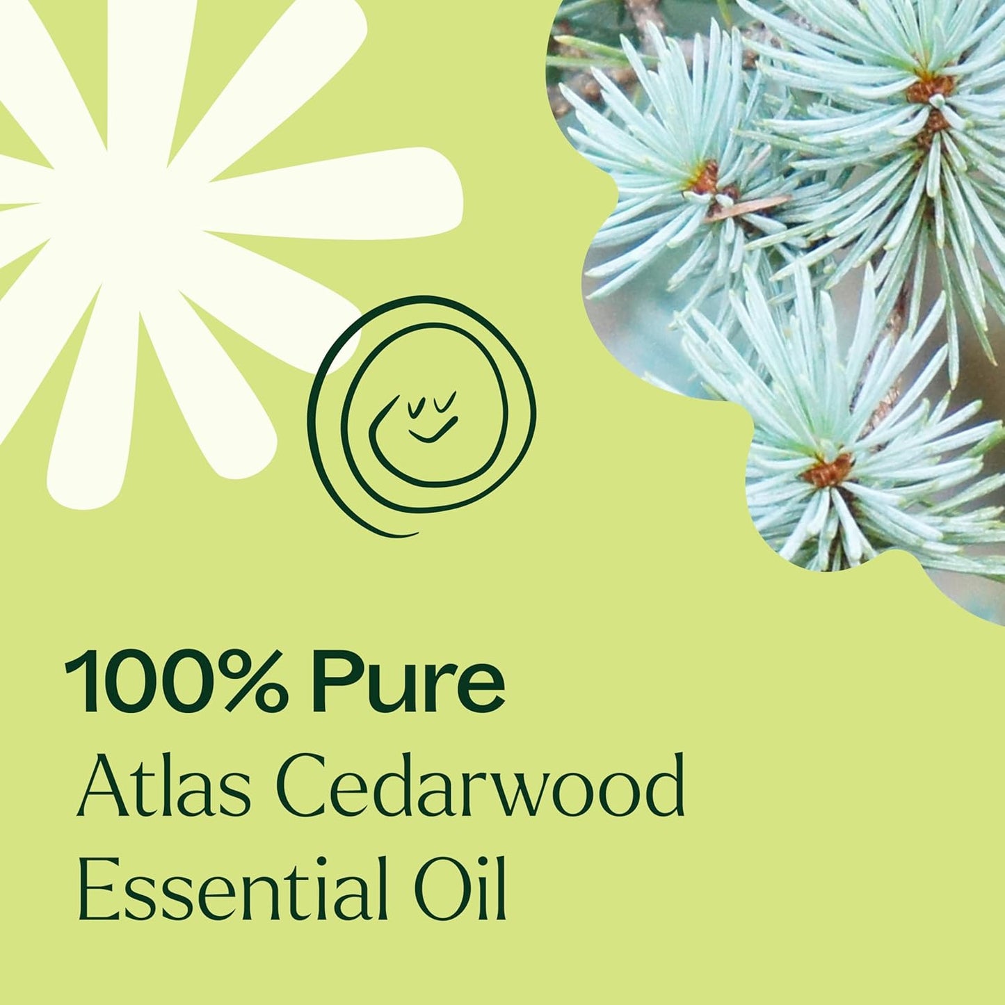 Plant Therapy Organic Atlas Cedarwood Essential Oil 30 mL (1 oz), 100% Pure, USDA Certified Organic, Undiluted, Soothing Aromatherapy for Scalp Health and Muscle Soreness