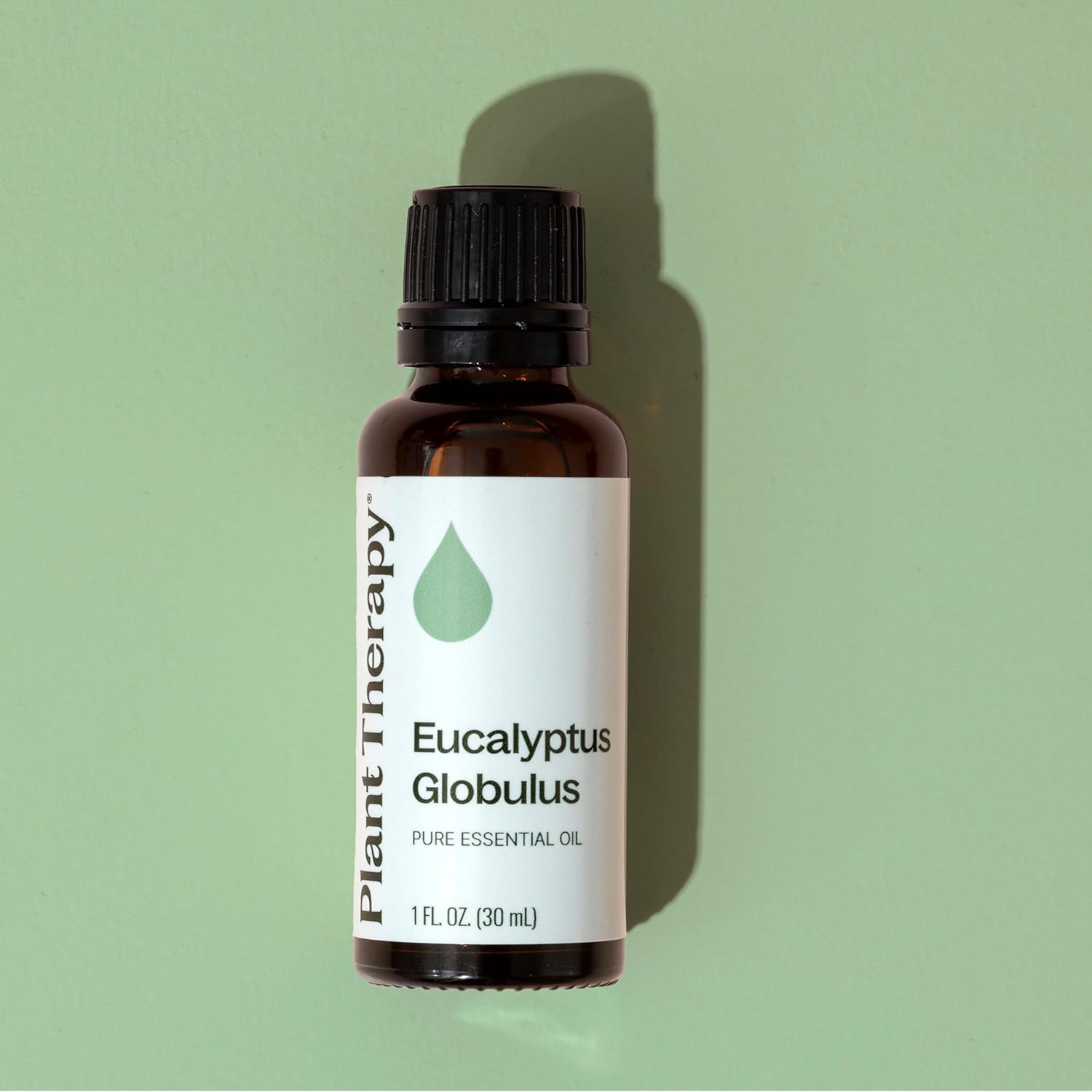 Plant Therapy Eucalyptus Globulus Essential Oil, 30 mL (1 oz), for Diffuser, Skin, Hair, Aromatherapy DIYs, and Clear Breathing, 100% Pure and Undiluted Essential Oil