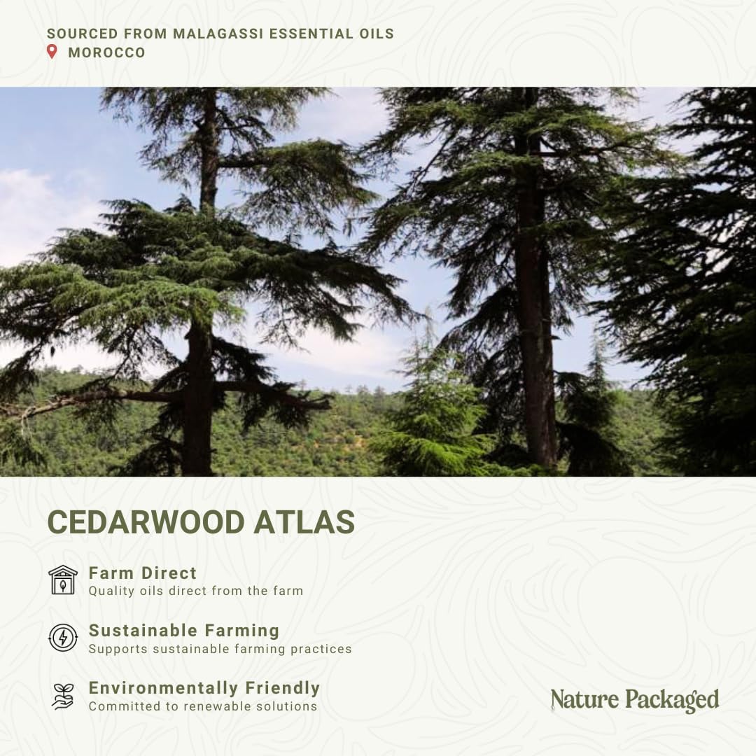 Pure Cedarwood (Atlas) Essential Oil (2lbs) - Direct from Malagassi Essential Oils Farm in Morocco - Essential Oils for Diffusers and Aromatherapy | Pure Therapeutic Grade