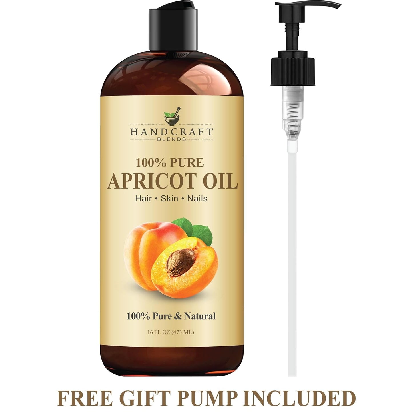 Handcraft Blends Apricot Kernel Oil - Cold-Pressed 16 Fl Oz - 100% Pure and Natural - Premium Grade Carrier for Skin and Hair - Hair and Body - Massage - Hexane-Free