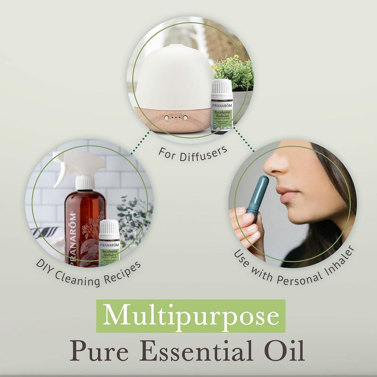 Pranarom Eucalyptus Globulus Essential Oil 5 ml