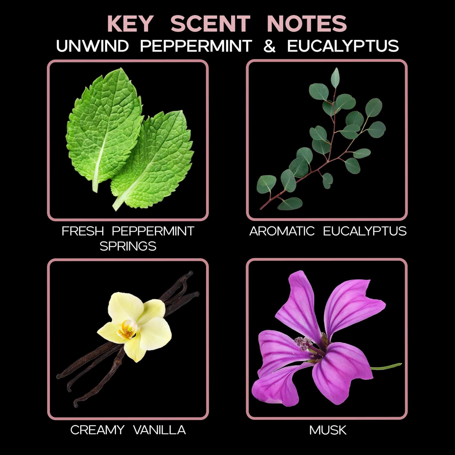 Unwind Eucalyptus & Mint Diffuser Oil - Luxury Essential Oils for Diffuser Refill & Air Freshener Room Spray - Long-Lasting & Natural Home Fragrance, Scented Oil for Diffusers, USA Made, 4oz