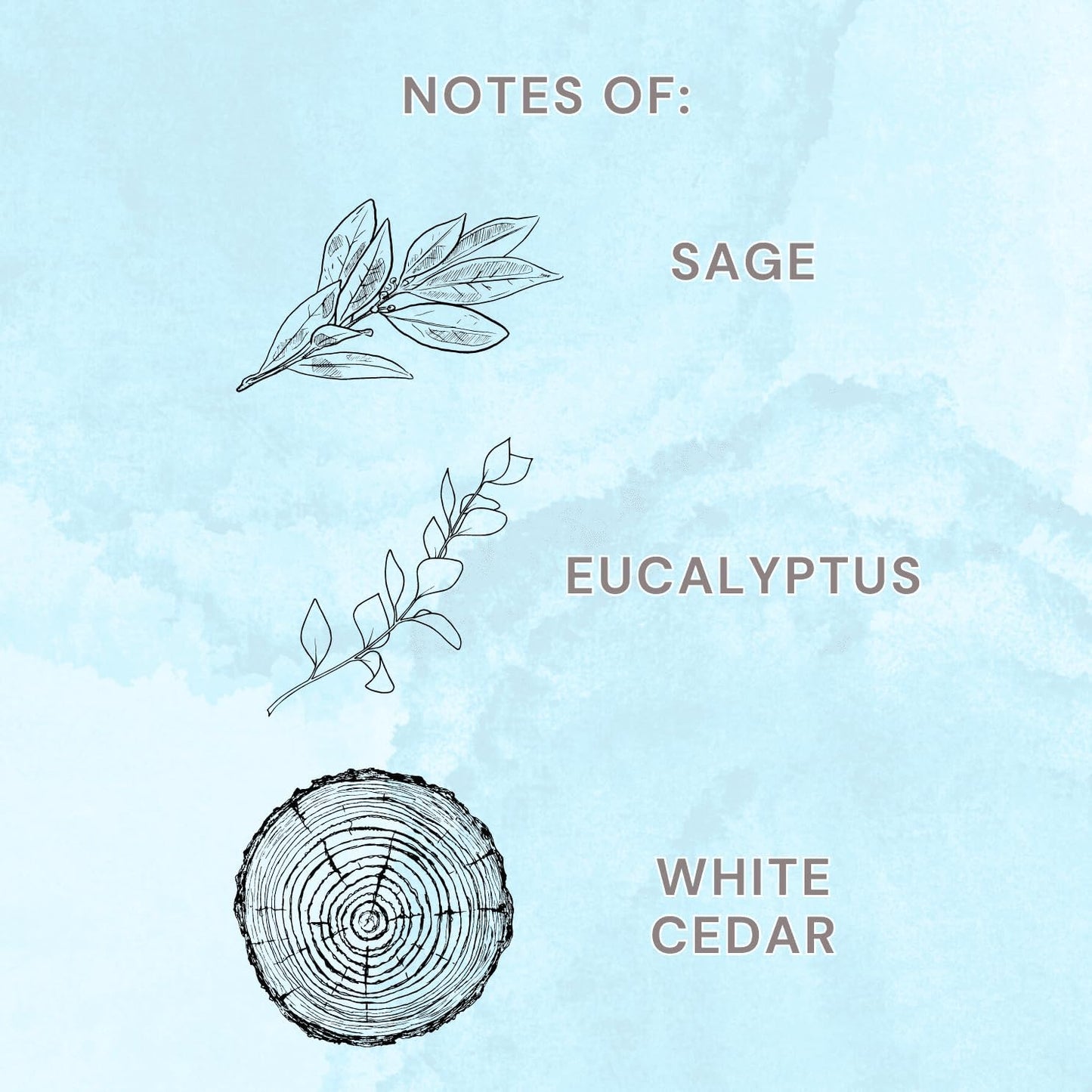 AW- Scented Room & Linen Spray 3.4 Fl oz (100mL) (Mindful (Sage + Eucalyptus + White Cedar))