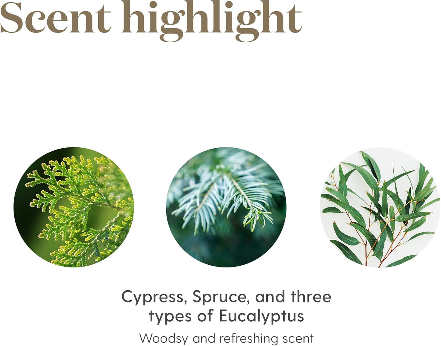 Young Living R.C. Essential Oil Blend | 15ml | A Powerful Combination of Cypress, Spruce, Myrtle, Pine, Eucalyptus Essential Oil, and More for a Refreshing and Uplifting Aroma