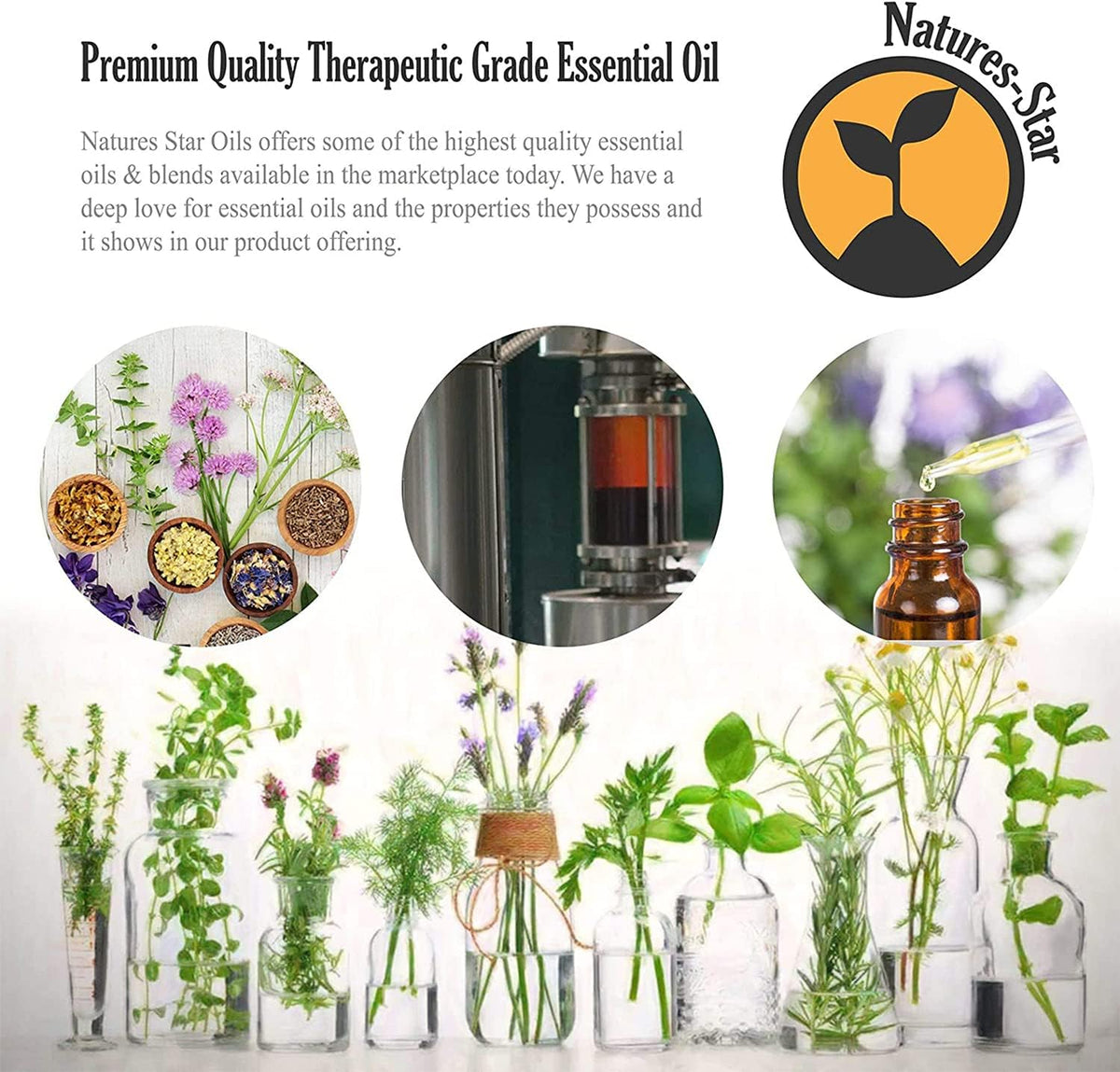 Natures-Star Lavender Essential Oil