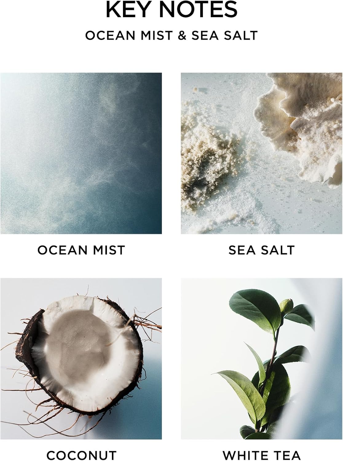 NEST New York Scented Votive Candle, Ocean Mist & Sea Salt - 2 oz - Up to 28-Hour Burn Time - Reusable Glass Vessel