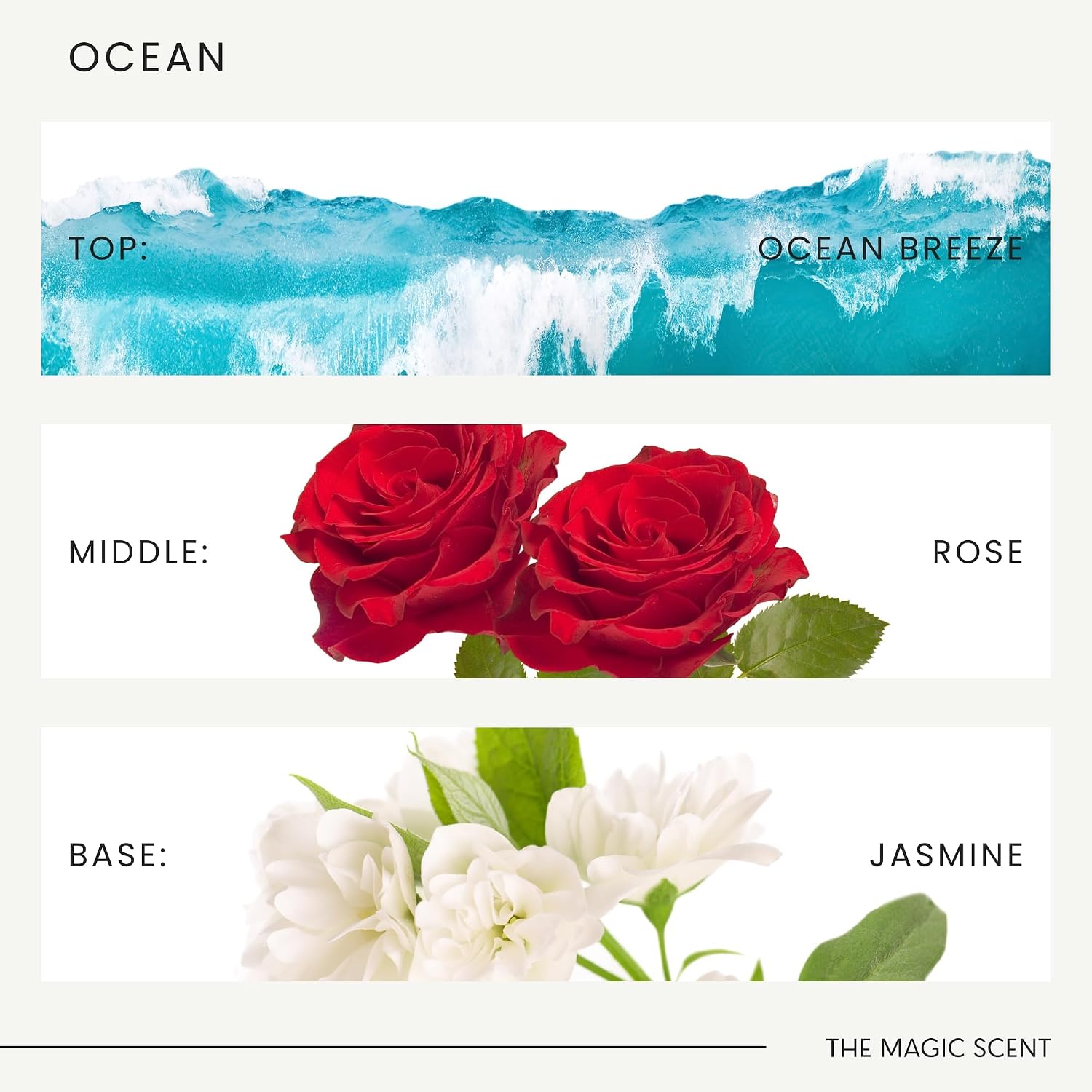 The Magic Scent Ocean Diffuser Oil - Hotel & Home Luxury Scents Inspired by Bali Resort - Oil Scents for Home Designed for Use in All Diffusers - 8.5 fl oz, 250 mL