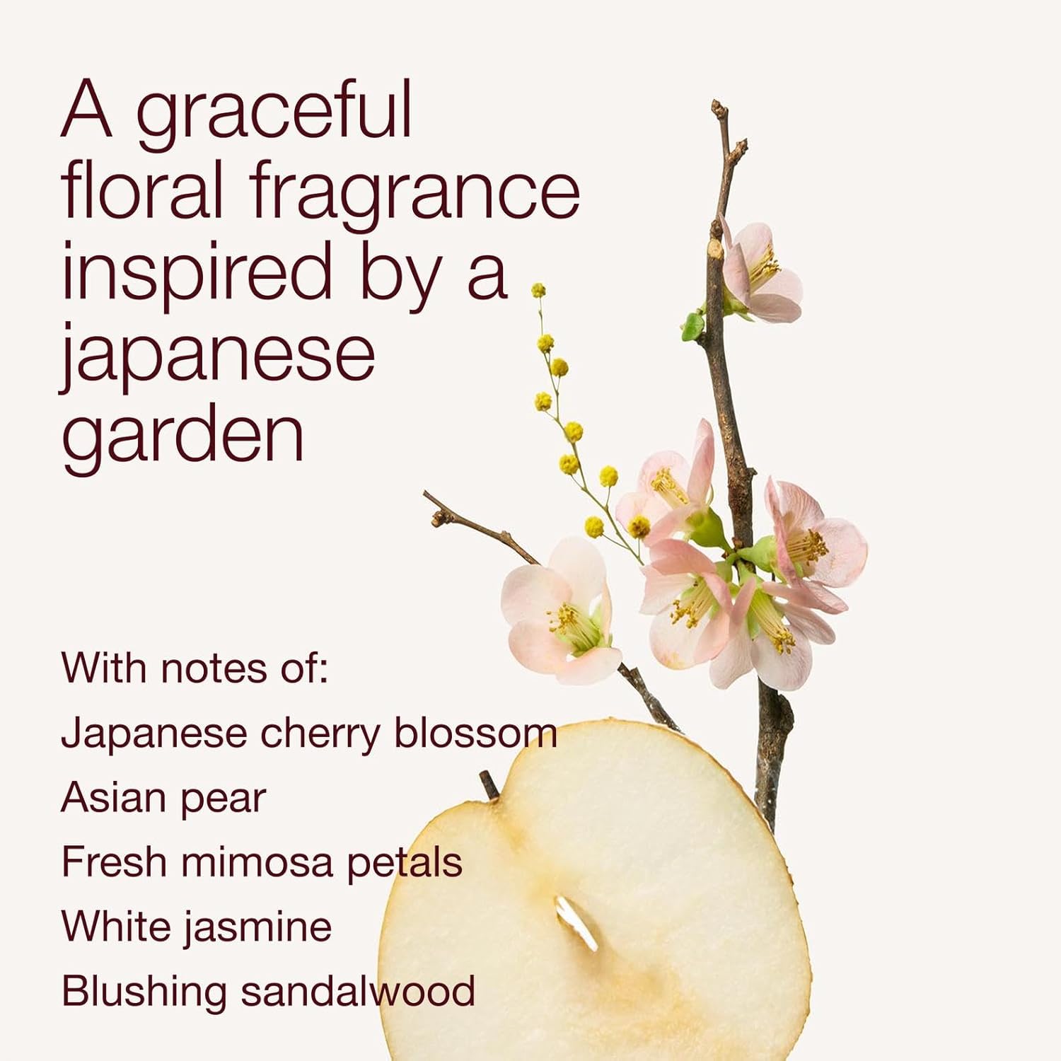 Bath & Body Works Japanese Cherry Blossom Body Wash, Nourishing Cleanser with Pro-Vitamin B5 & Aloe, Iconic Floral Scent, Gentle for Daily Use, 10 fl oz - 1 Pack