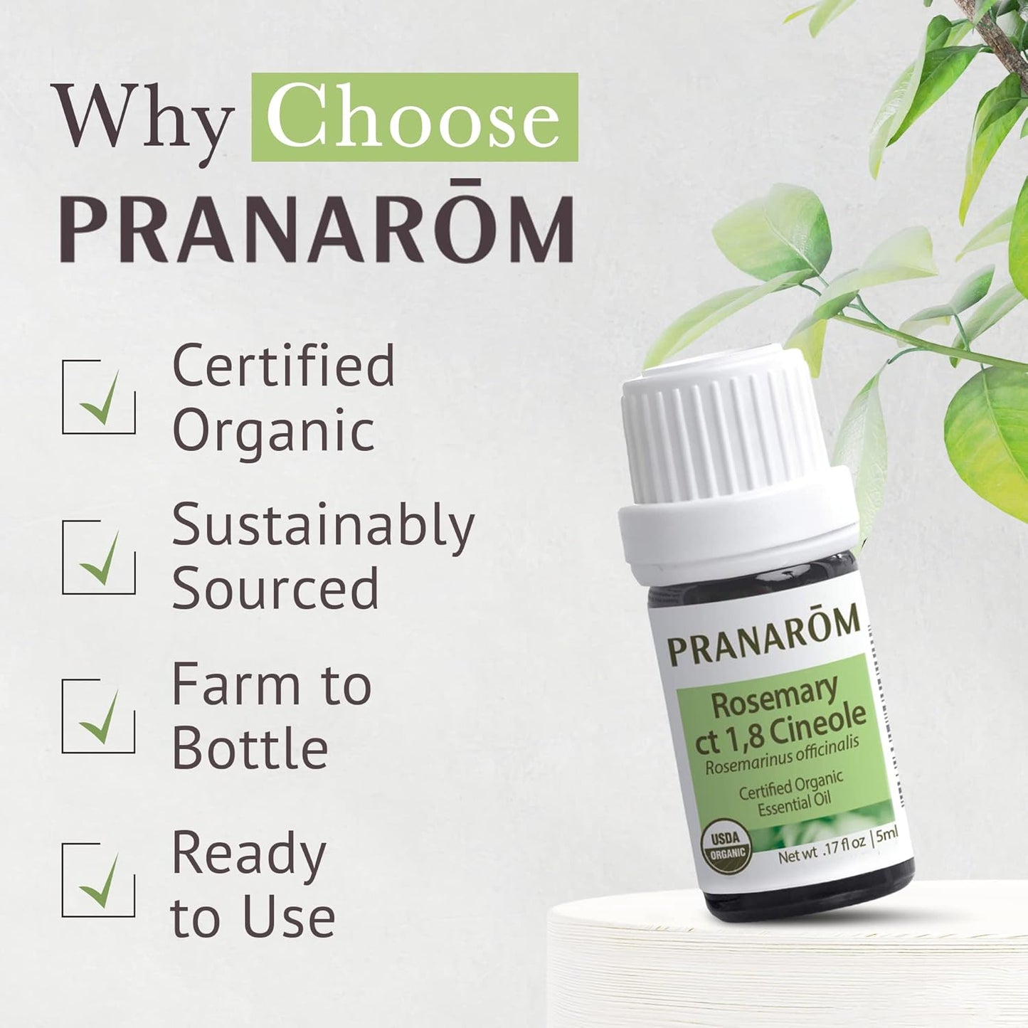 Pranarom USDA Certified Organic Rosemary Cineole Essential Oil (5ml), 100% Pure Undiluted Therapeutic Grade from Tunisia for Aromatherapy, Diffuser, Meditation, Massage, Relaxation
