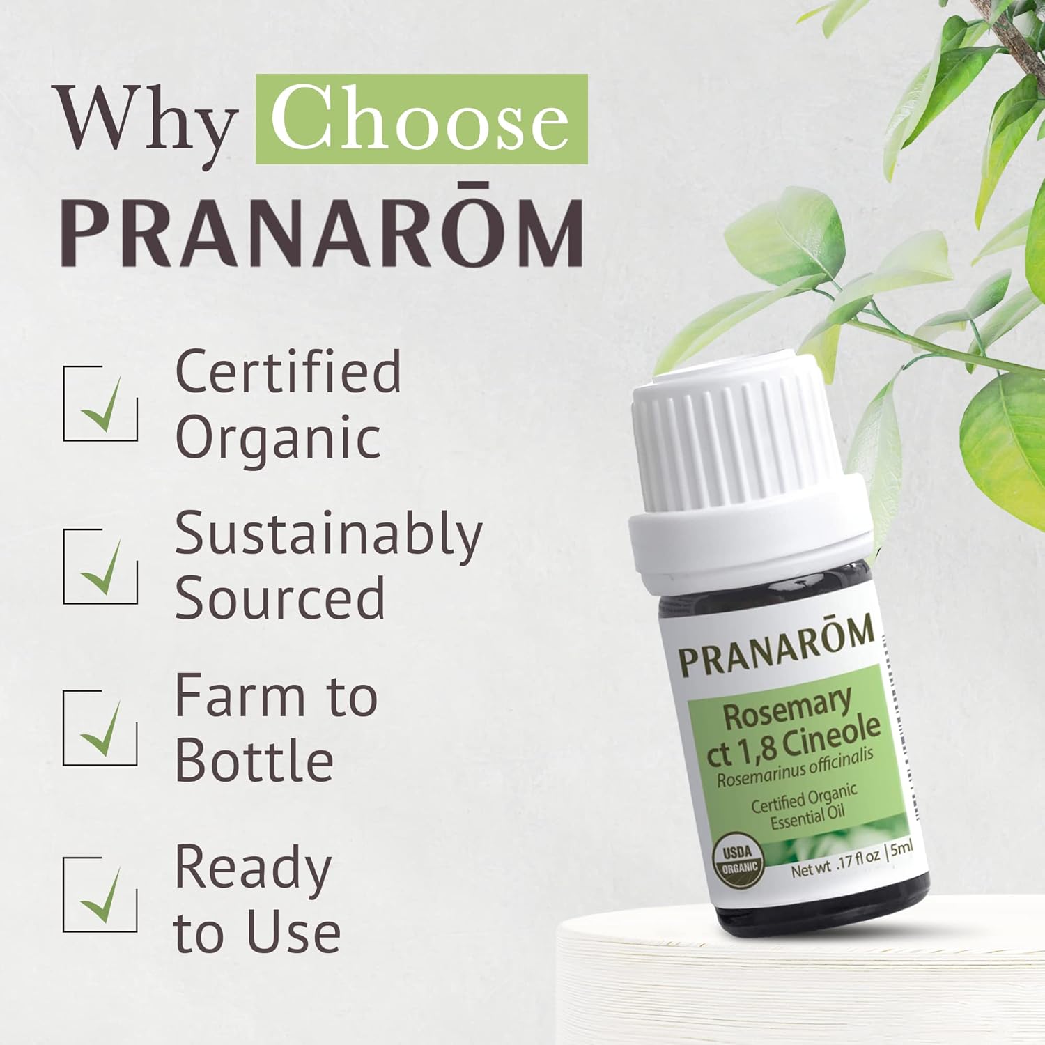 Pranarom USDA Certified Organic Rosemary Cineole Essential Oil (5ml), 100% Pure Undiluted Therapeutic Grade from Tunisia for Aromatherapy, Diffuser, Meditation, Massage, Relaxation