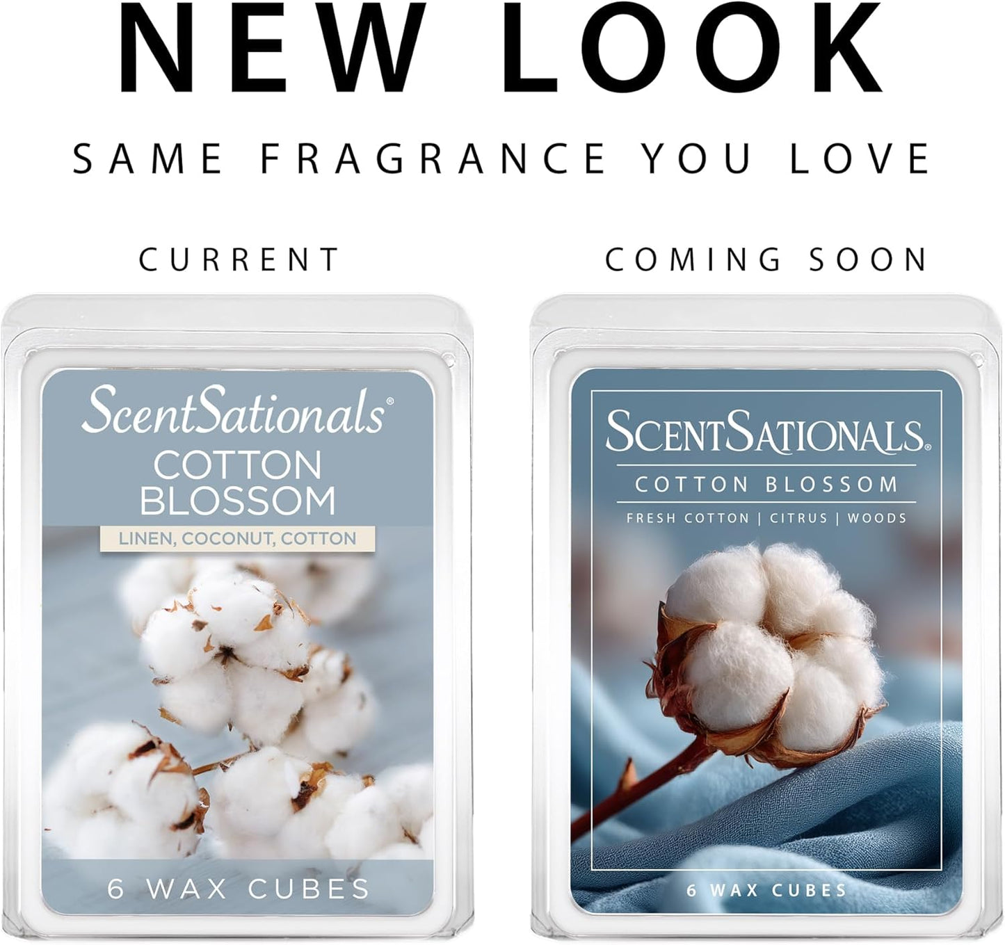 Scentsationals Cotton Blossom Scented Wax Melts - Fresh Cotton, Citrus, & Woods, 10oz (24 Cubes)