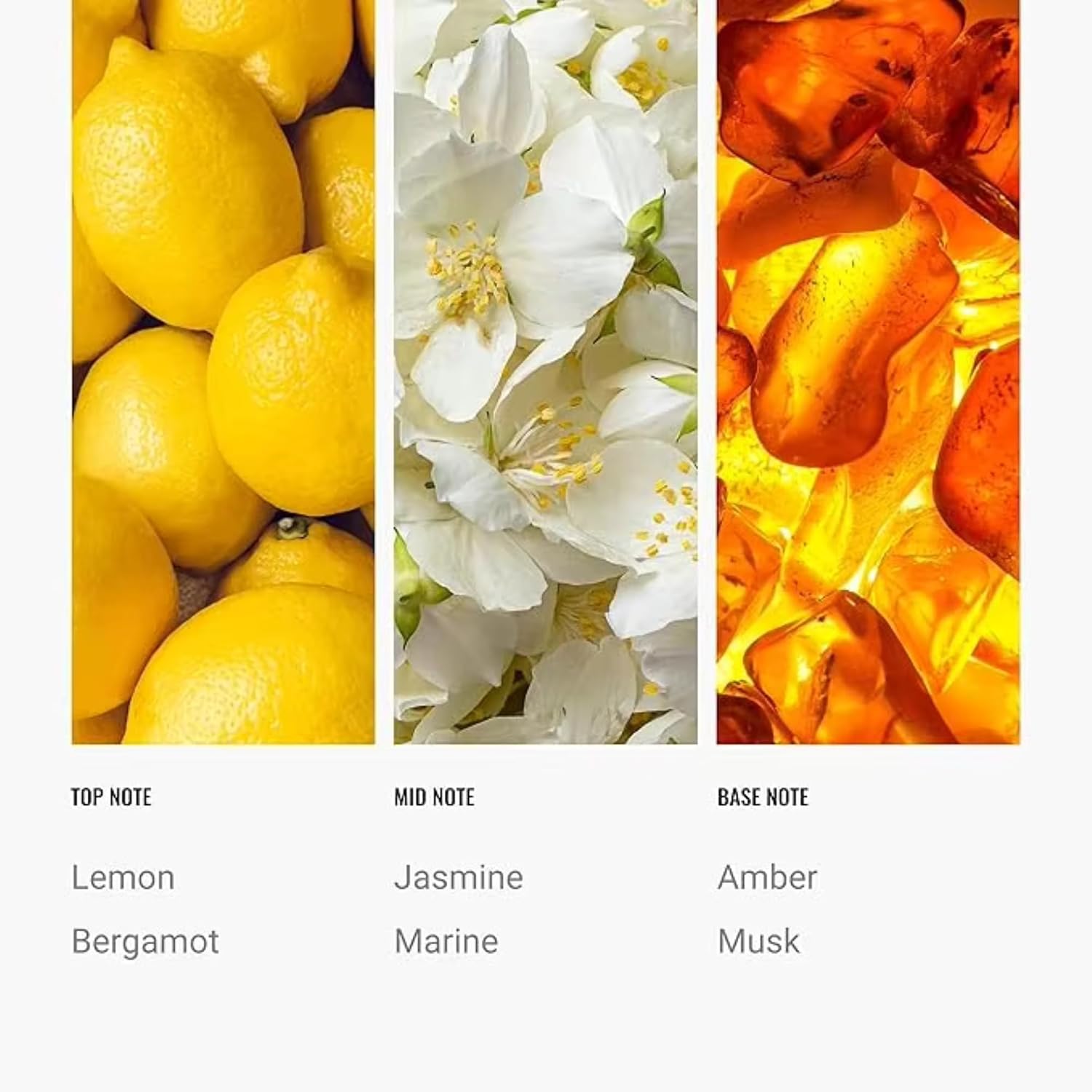 Hotel Scent Oil Inspired by The Ritz Carlton Hotel - Essential Oils for Humidifiers and Waterless Diffusers - Antal Hayat Diffuser Oil - Hotel Scents for Home (0.34, Cabana)