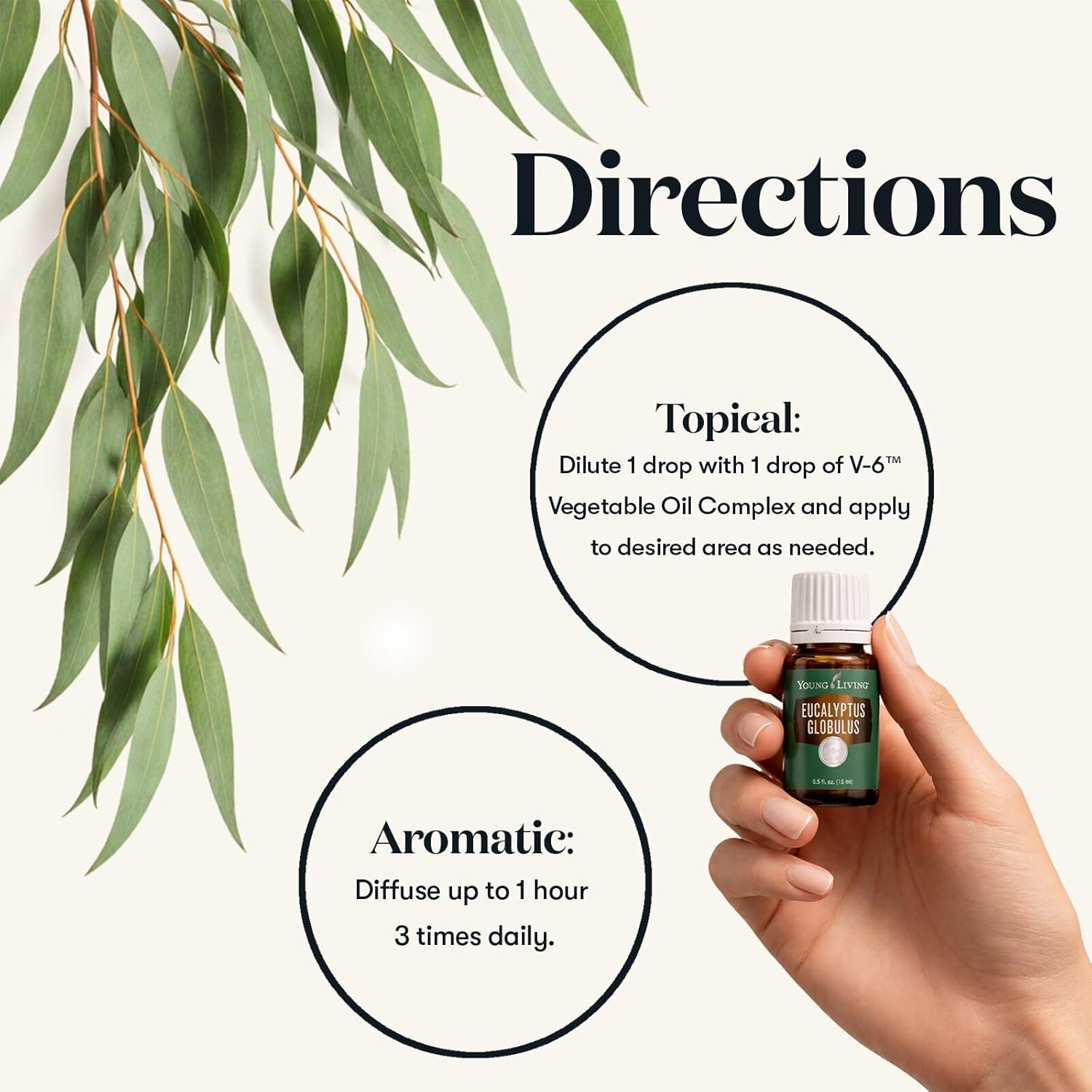 Young Living Eucalyptus Globulus Essential Oil | 15 ml | Cooling, Refreshing Aroma for Diffusion & Massage | Supports Breathing Comfort & Relaxation | Premium Seed to Seal® Quality Oil