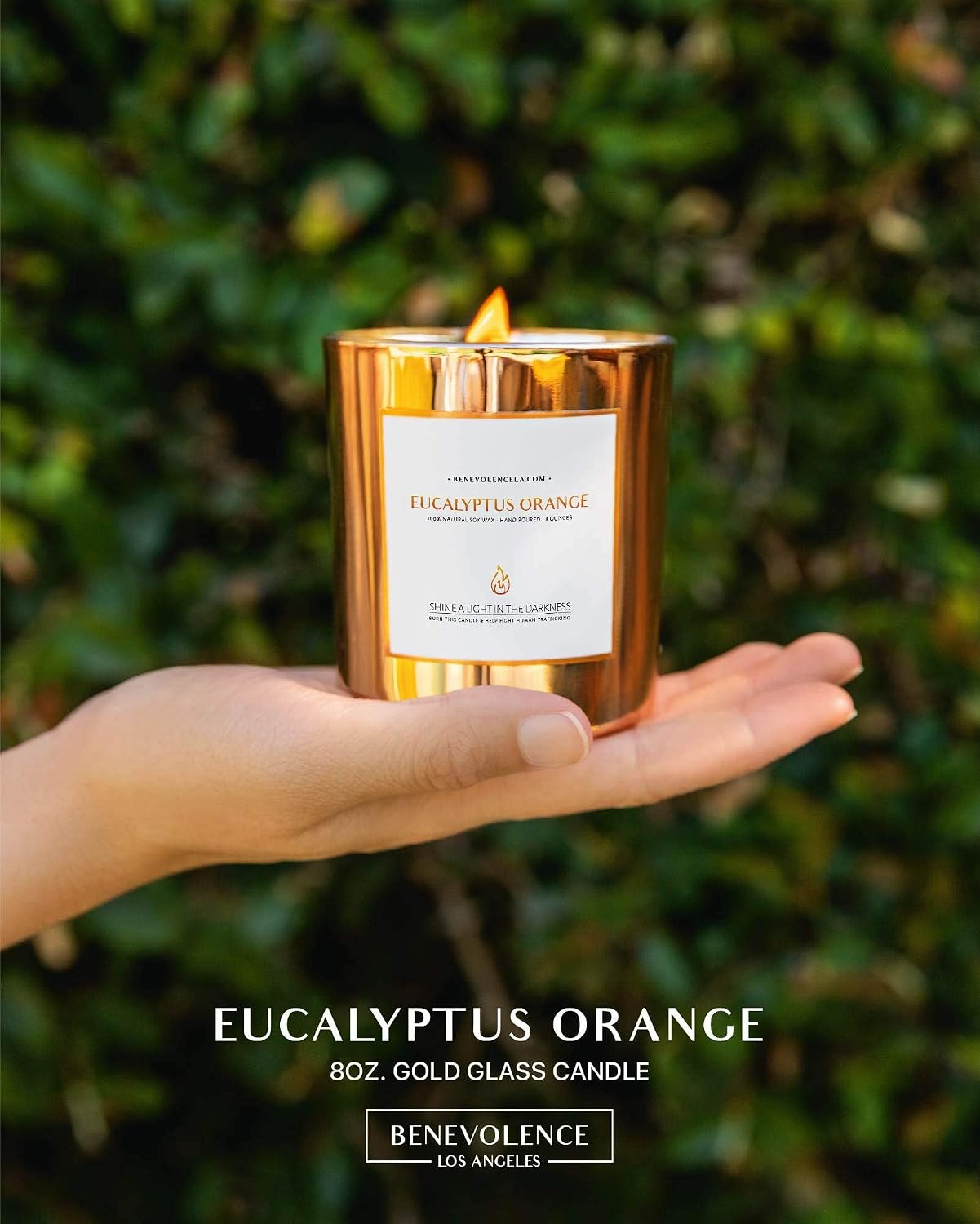 Benevolence LA Premium Eucalyptus Orange Scented Candle – Long-Lasting, 45-Hour Burn – Luxury Natural Soy Wood Wick Candle for Home – Aromatherapy & Room Decor – 8oz
