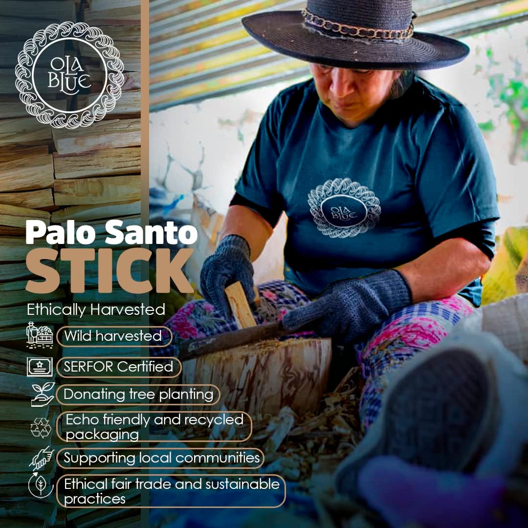 Palo Santo Smudging Sticks – 12 Pack (4 oz / 110 g) | Natural Palo Santo Incense Sticks from Peru | Resin-Rich Aromatic Sticks for Smudging & Meditation
