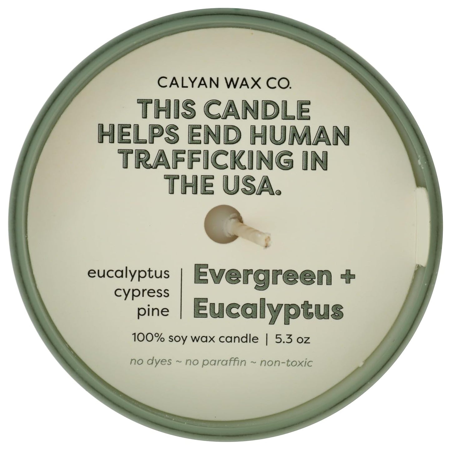 Calyan Wax Co. Dignity Series Evergreen & Eucalyptus Scented Candle - 35 Hour Burn - Luxury Clean Soy Wax Candles - Long Lasting Green Glass Jar Candle for Home - 5.3oz