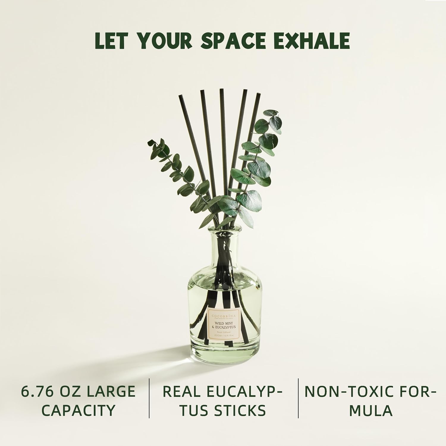 COCORRÍNA Wild Mint & Eucalyptus Reed Diffuser – 6.76 oz Essential Oil with 8 Reeds & Real Eucalyptus Sticks, Home Fragrance for Bedroom or Bathroom Décor