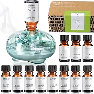 Waterless Diffuser with 12 Pack Hotel Fragrance Oils, Battery Operated Nebulising Diffuser for Home, Luxury Essential Oil Scents Inspired by 5-Star Hotels, Aromatherapy Gift Set