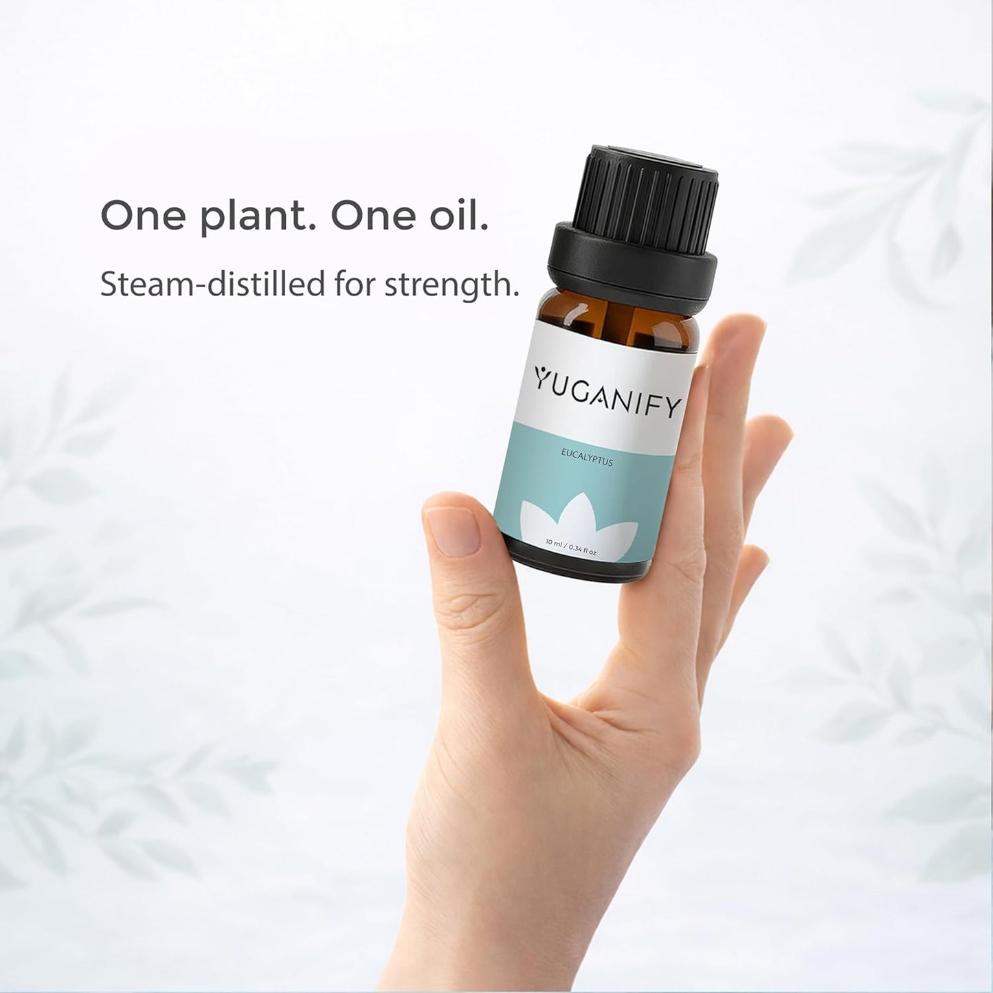 Eucalyptus Essential Oil 10ml – 100% Pure & Steam Distilled – Strong Scent Aromatherapy Oil for Diffuser, Humidifier & Shower, Ideal for Steam Inhalation and Home Freshening