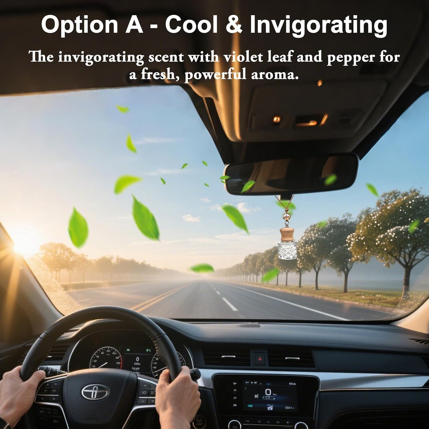 RoyAroma Hanging Car Air Freshener, 2-Pack Car Essential OIl Diftuser, Hanging Air Freshener with Plant-Based Scents, Long Lasting & Non-Toxic for Auto Perfume Odor Eliminator | Invigorating Teakwood