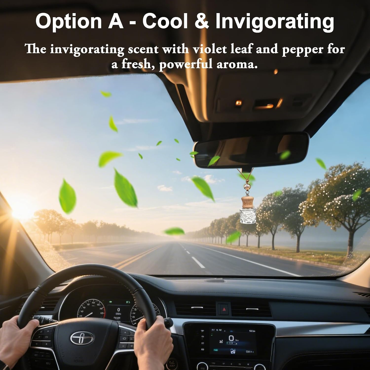 RoyAroma Hanging Car Air Freshener, 2-Pack Car Essential OIl Diftuser, Hanging Air Freshener with Plant-Based Scents, Long Lasting & Non-Toxic for Auto Perfume Odor Eliminator | Invigorating Teakwood