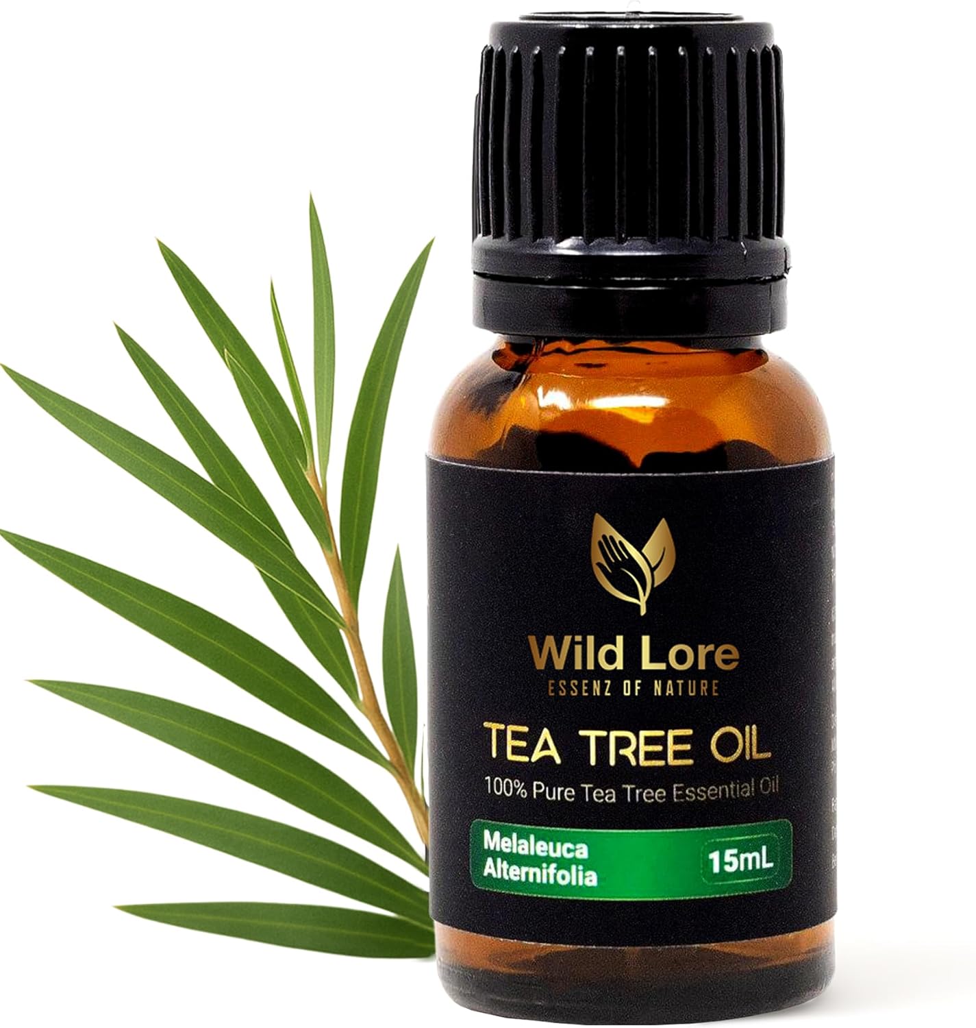 Tea Tree Essential Oil, 100% Pure and Natural, Help in Skin Care, Pure Steam Distilled from Leaves, Topical & Aromatic Use, Natural 15 ML