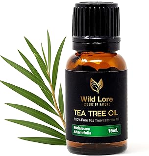 Tea Tree Essential Oil, 100% Pure and Natural, Help in Skin Care, Pure Steam Distilled from Leaves, Topical & Aromatic Use, Natural 15 ML