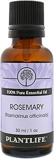 Plantlife Rosemary Aromatherapy Essential Oil - Straight from The Plant 100% Pure Therapeutic Grade - No Additives or Fillers - 30 ml
