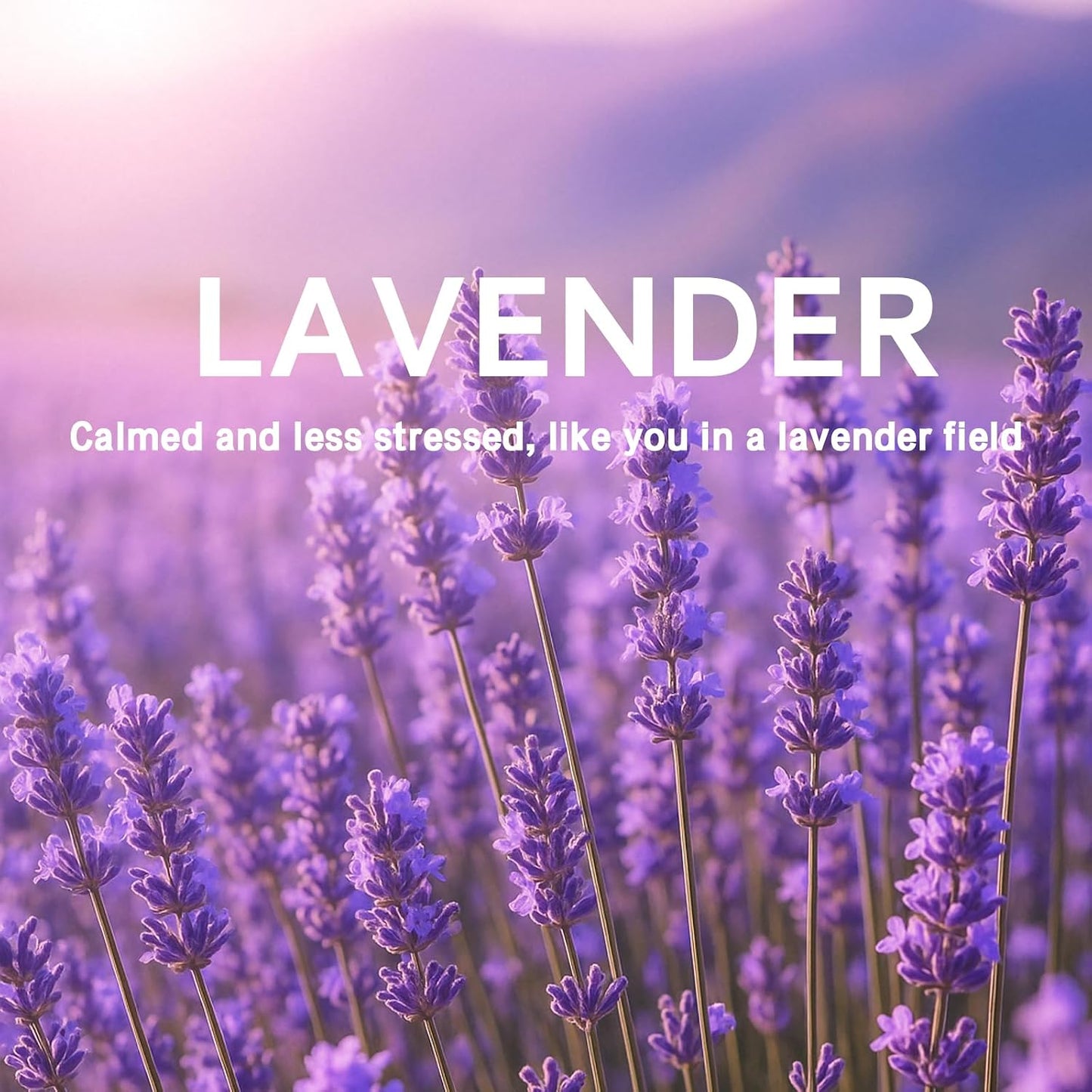 15 Packs Lavender Scented Sachets Bag for Drawers and Closets, Home Fragrance Sachet, Long-Lasting Hanging Closet Deodorizer Smell Goods for House