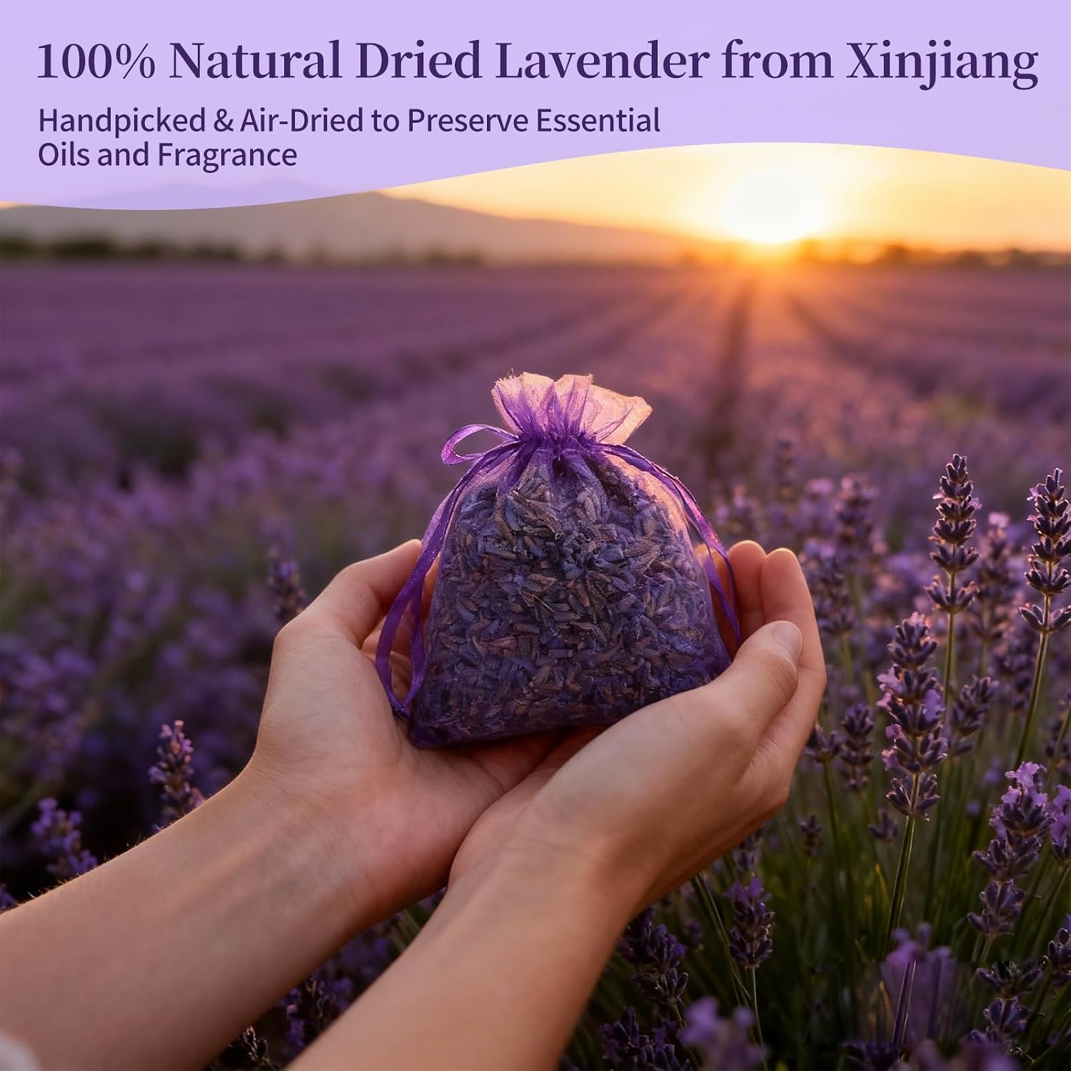 AZY Lavender-Scented Sachet Bags – 24 Pack with 5 Extra Linen Bags, Natural Fragrance Sachets for Drawers, Closets, Cars & Home Decoration