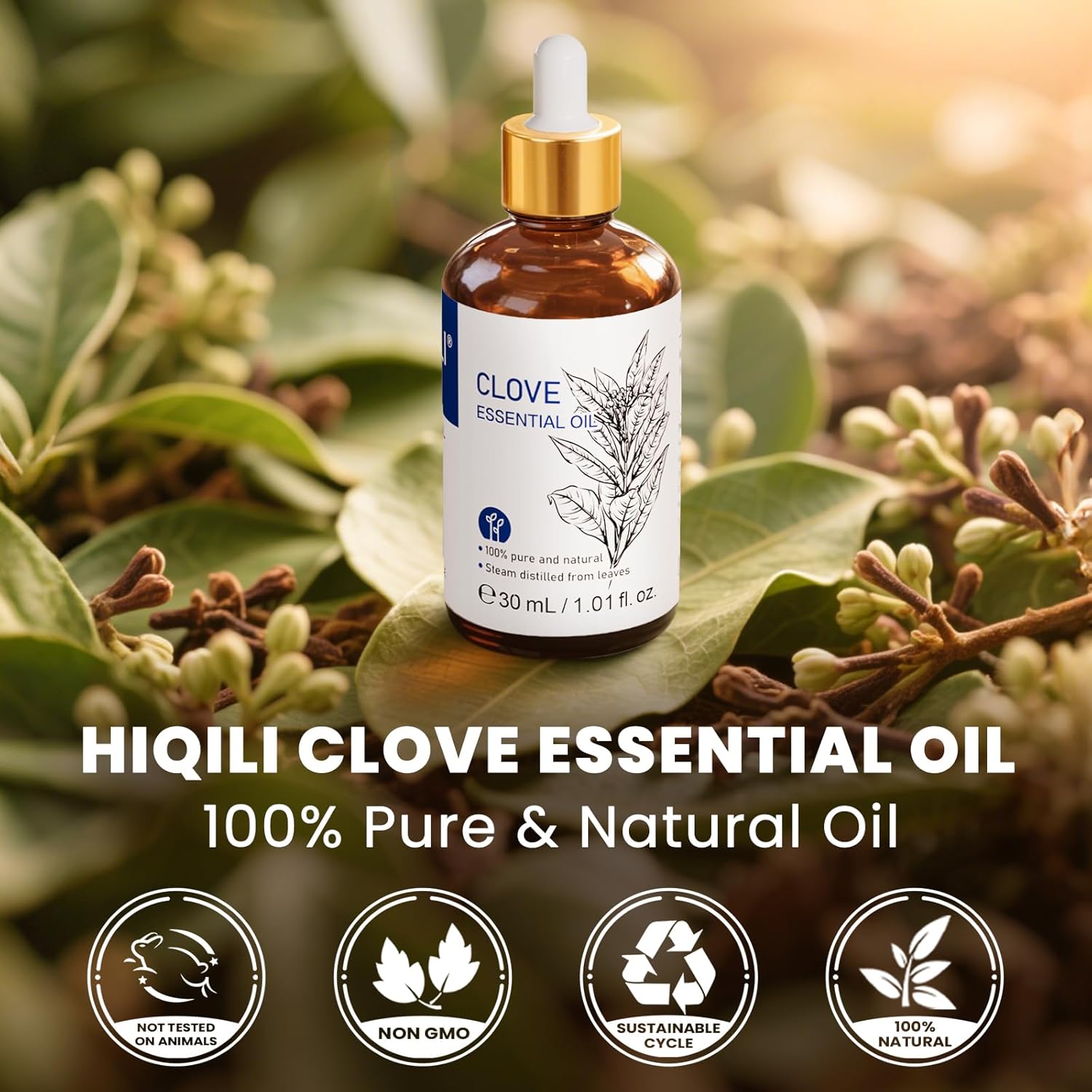 HIQILI 1 Fl Oz Clove Oil for Teeth and Gums, Oral Care, DIY Clean Spray, Aromatherapy, 100% Pure Natural Premium - 30ml