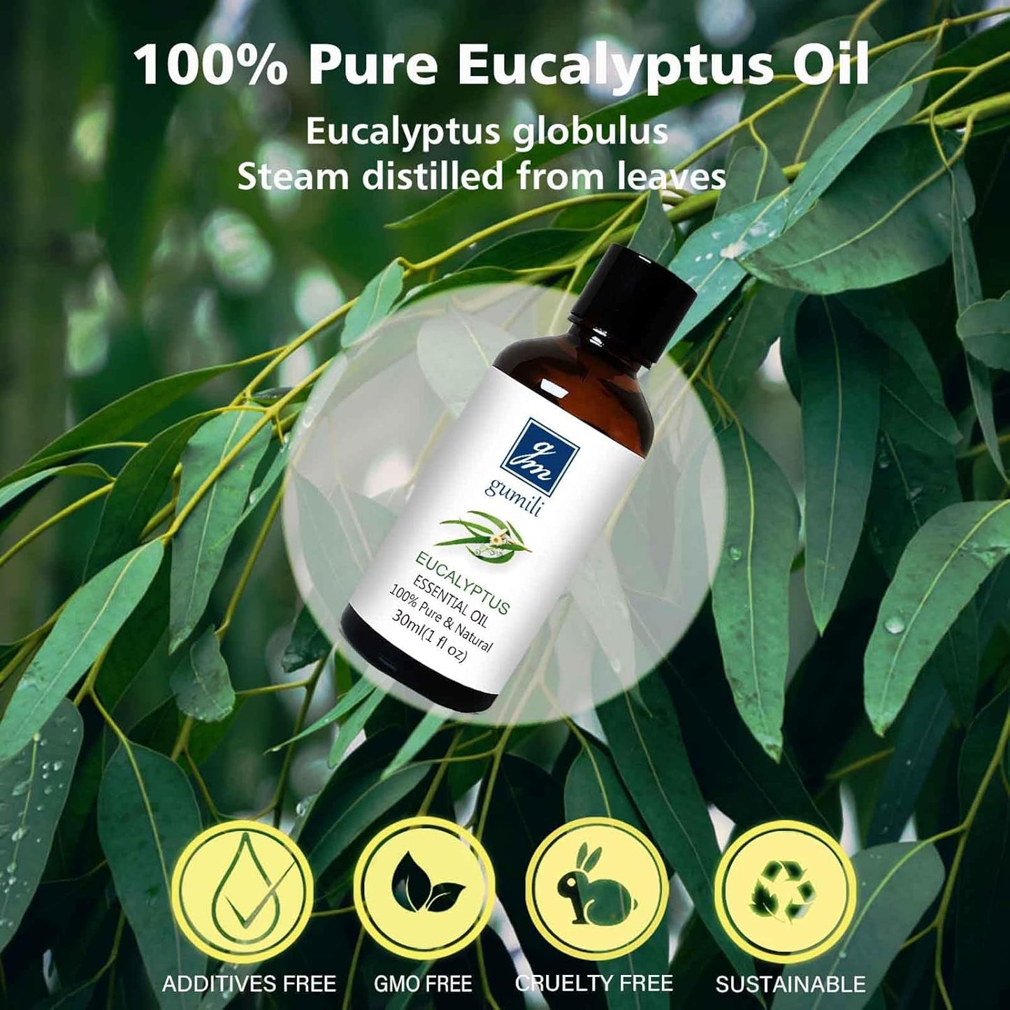 GM Gumili Eucalyptus Essential Oil 1 Oz, 100% Pure Natural Eucalyptus Oil, Aromatherapy Essential Oils for Diffuser, Spray, Skin, DIY Body Oils Blends