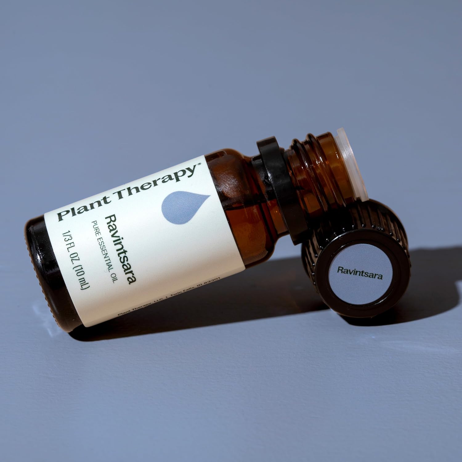 Plant Therapy Ravintsara Essential Oil 10 mL (1/3 oz) 100% Pure, Undiluted, Stimulating Aromatherapy for Respiratory Support and Joint Ache Relief