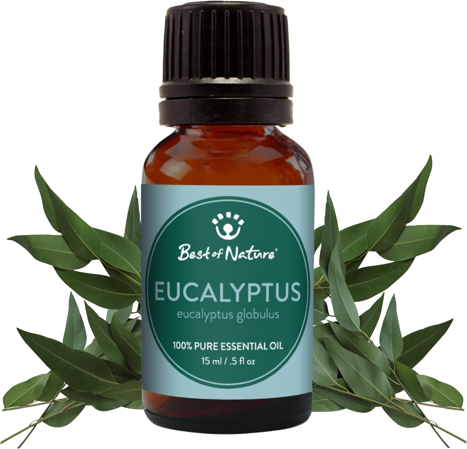 Eucalyptus Essential Oil for Diffuser Aromatherapy – Best of Nature 100% Pure Undiluted Oils for DIY, Home Fragrance, and Topical Use