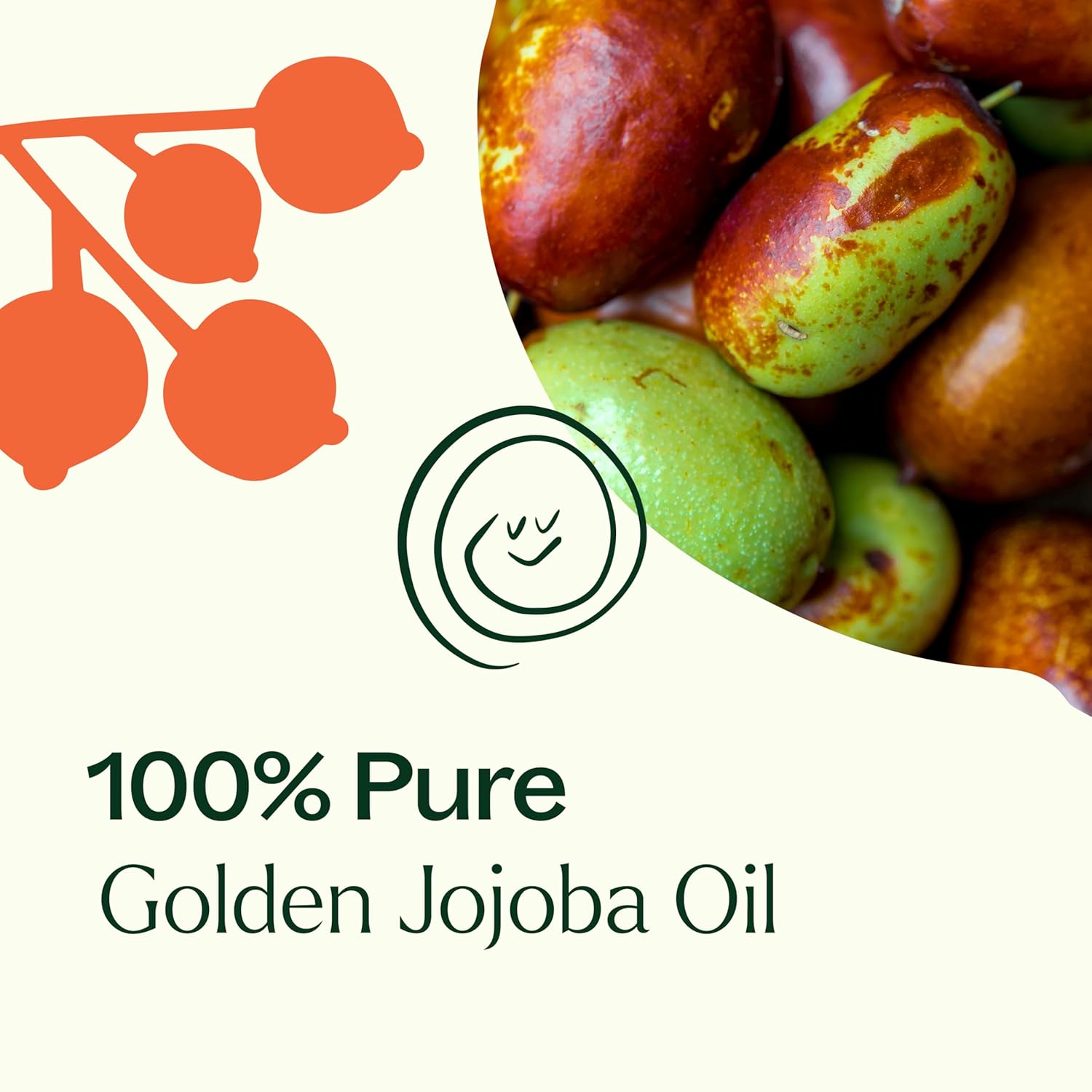 Plant Therapy Jojoba Golden Carrier Oil 4 oz 100% Pure, Cold-Pressed, Natural and GMO-free Moisturizer and Carrier Oil for Essential Oils