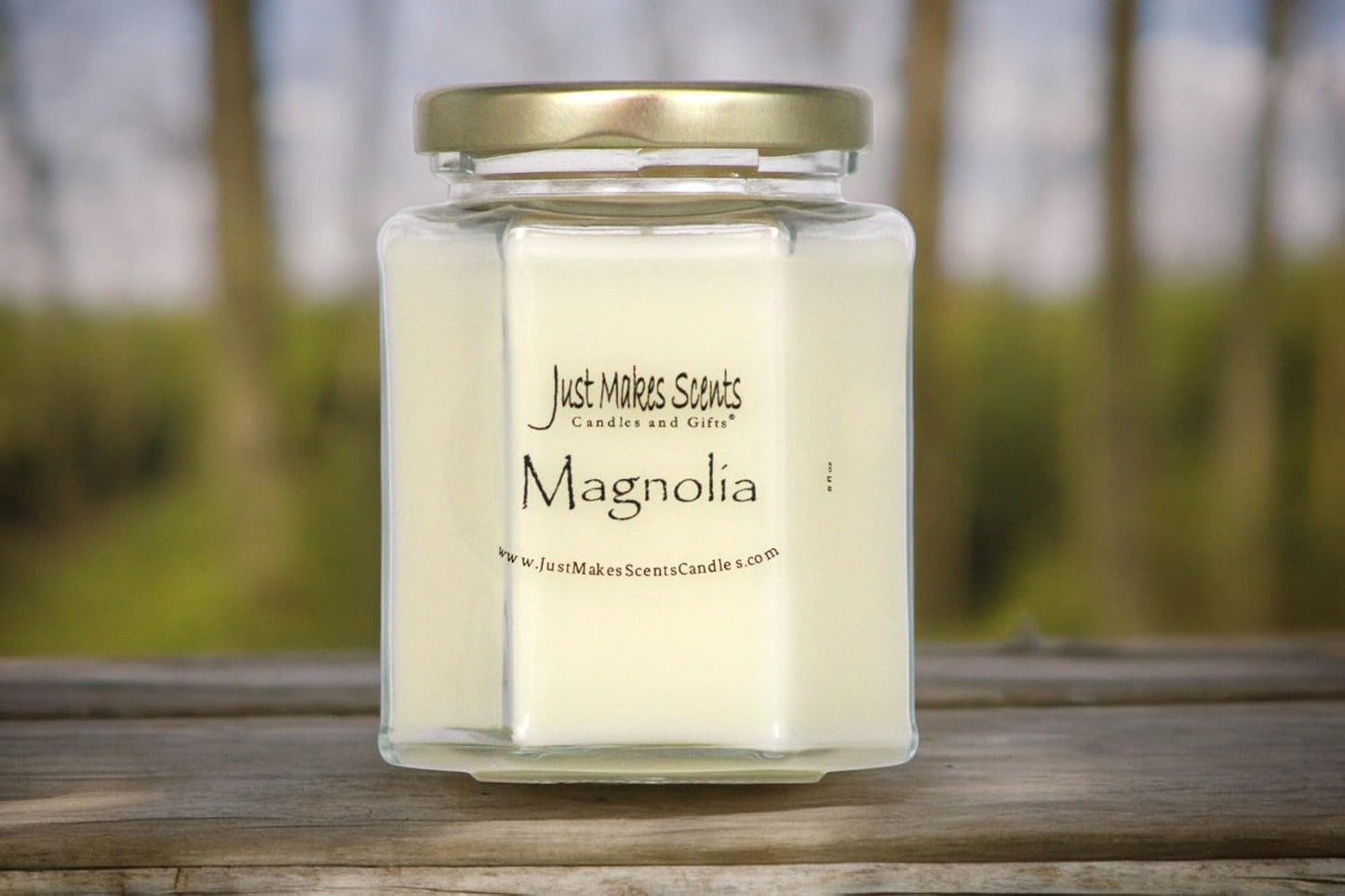 Magnolia Scented Blended Soy Candle | Light and Lovely Floral Fragrance | Hand Poured in The USA by Just Makes Scents (8 oz)
