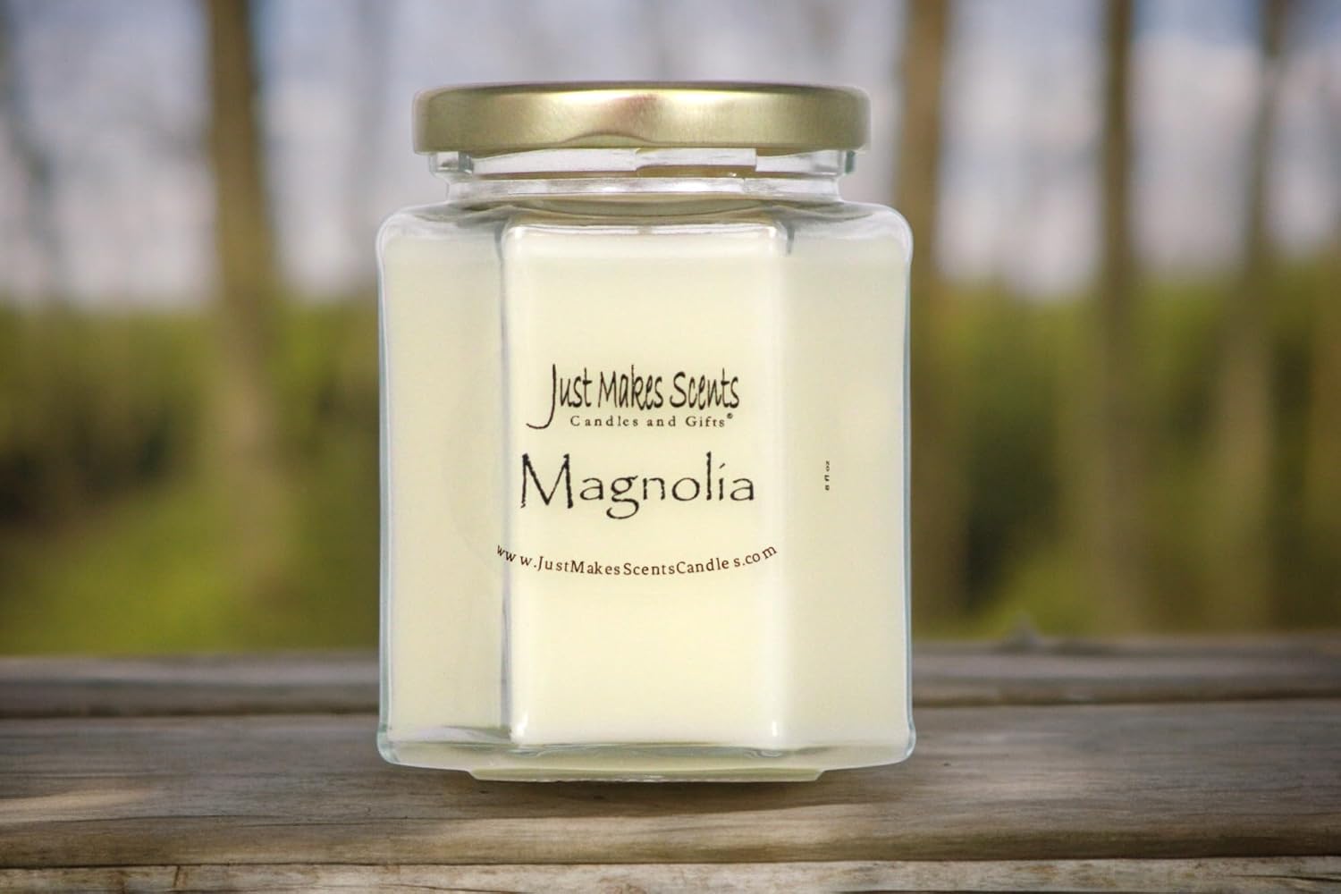 Magnolia Scented Blended Soy Candle | Light and Lovely Floral Fragrance | Hand Poured in The USA by Just Makes Scents (8 oz)