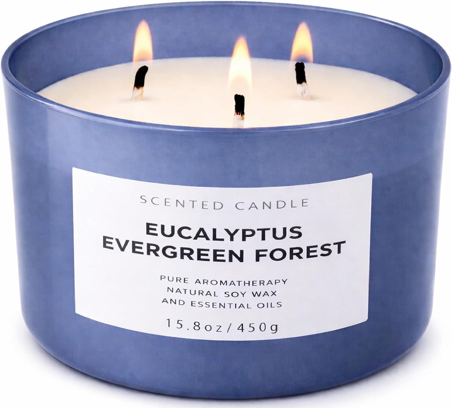 Eucalyptus Evergreen Forest 3-Wick Soy Candle | 15.8 oz Large Scented Candle for Home | Clean Burn Long Lasting | Balsam Fir Fresh Forest Scent | Gift Ready