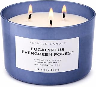 Eucalyptus Evergreen Forest 3-Wick Soy Candle | 15.8 oz Large Scented Candle for Home | Clean Burn Long Lasting | Balsam Fir Fresh Forest Scent | Gift Ready
