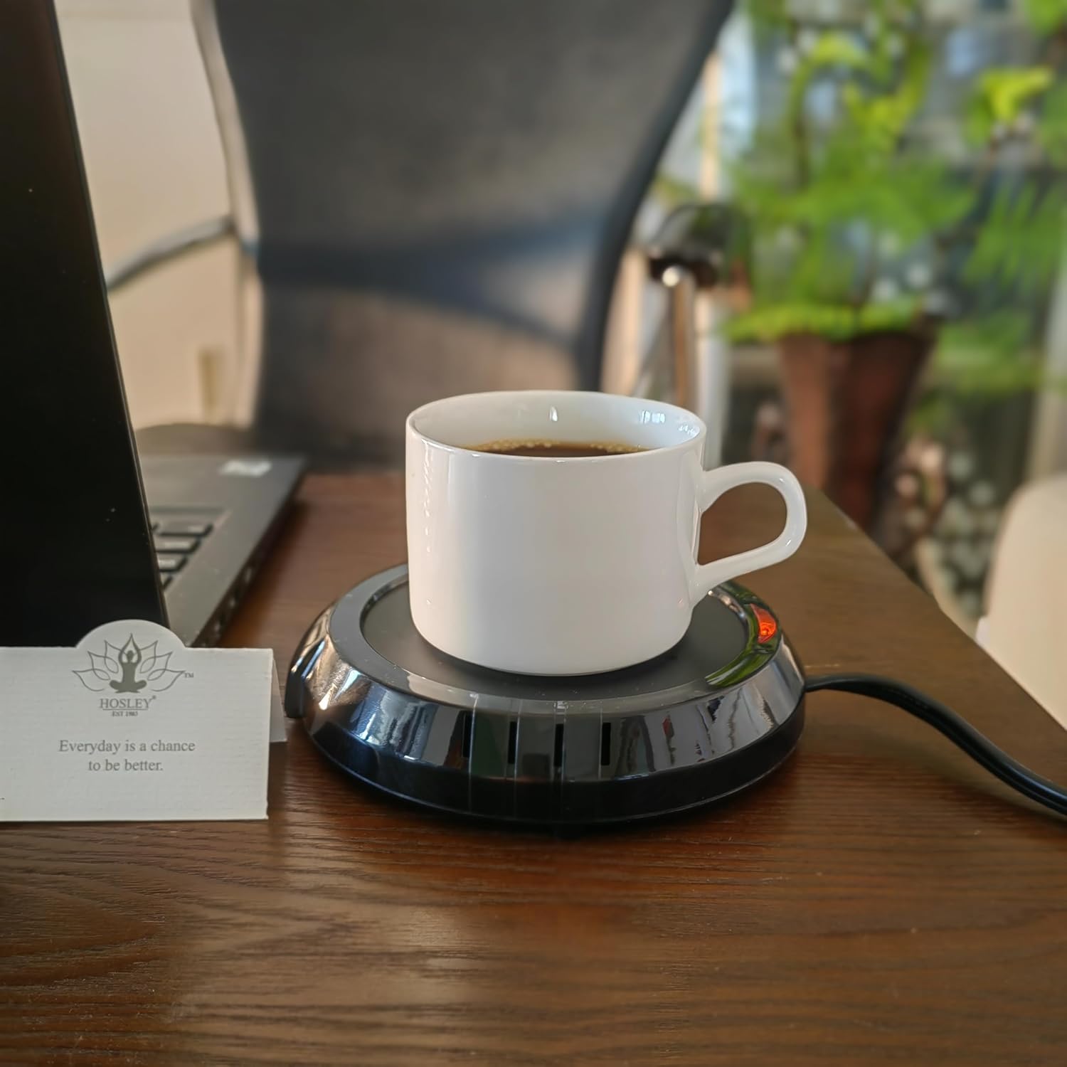 Hosley Black Electric Candle Warmer Large 5.4 Inch Diameter Ideal for Aromatherapy Home Office Dorm Rooms Hotels or Any Place that You Cannot Have an Open Flame