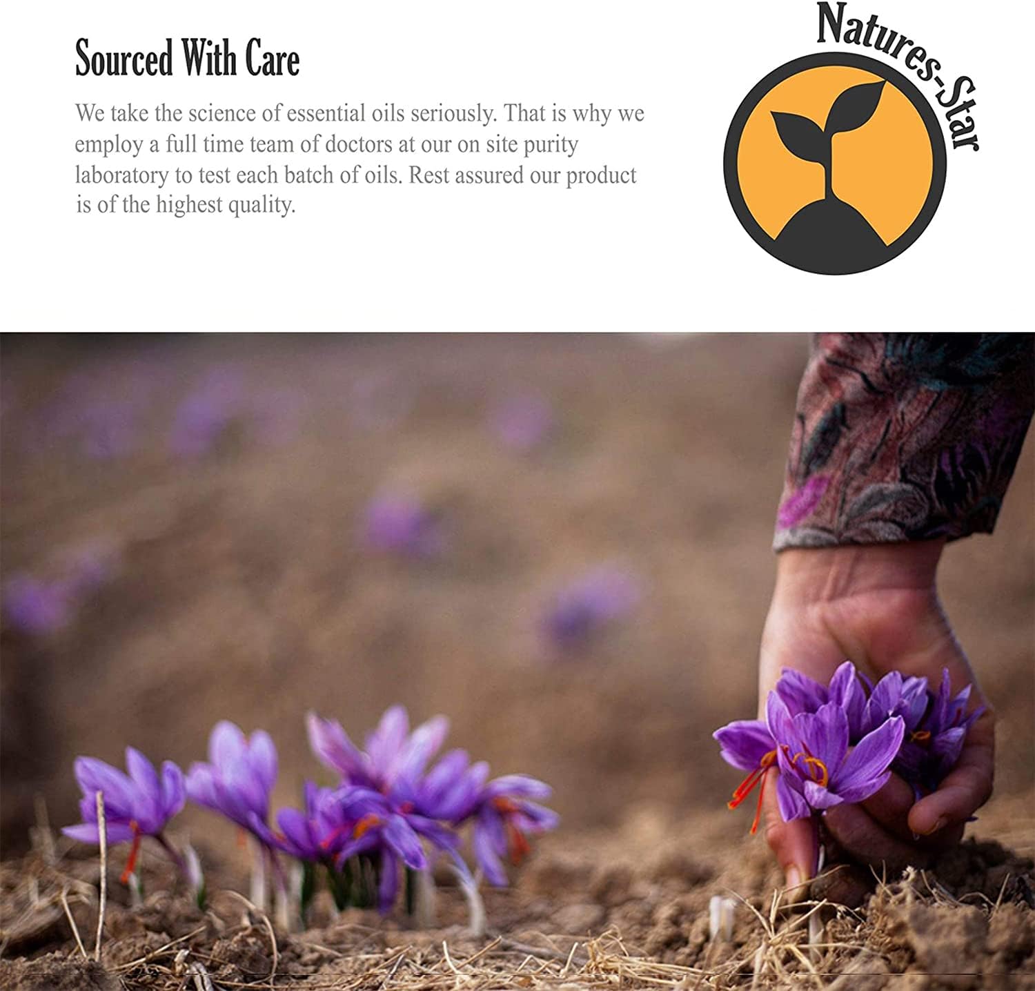 Natures-Star Lavender Essential Oil, 16 Ounce, Therapeutic Grade for Aromatherapy, Candle & Soap Making, Diffusers & Home, Lavender Oil