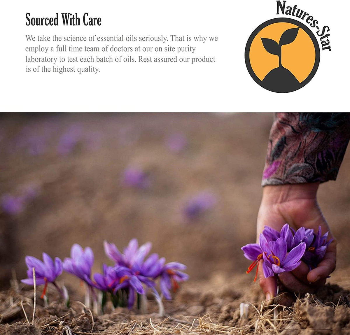 Natures-Star Lavender Essential Oil