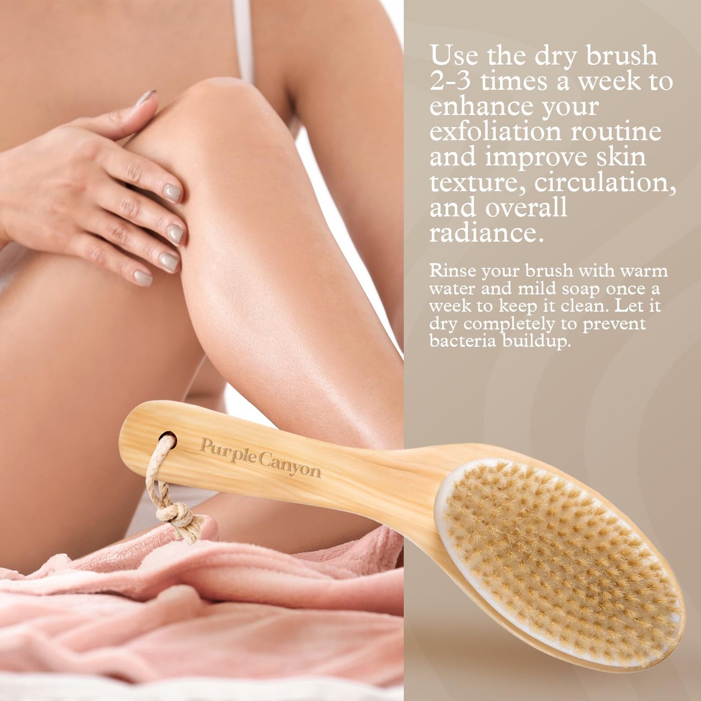 Purple Canyon Body Brush – Natural Boar Bristle Dry Brush for Exfoliating, Lymphatic Drainage, Cellulite Appearance, and Circulation – Curved Wooden Handle for Easy Back & Body Brushing