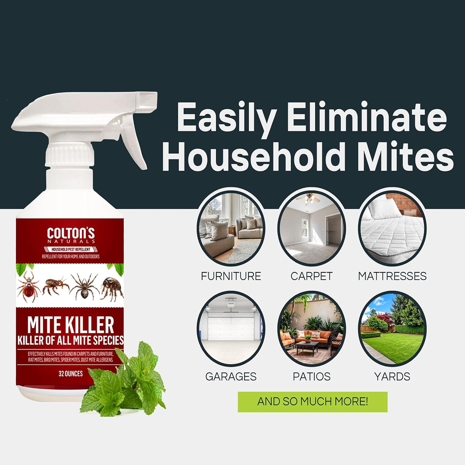 Mite Killer Spray – Kills Dust, Bird, Carpet & Household Mites Fast | Non-Toxic, Kid & Pet Safe Formula for Bedding, Furniture & Home | 16 oz