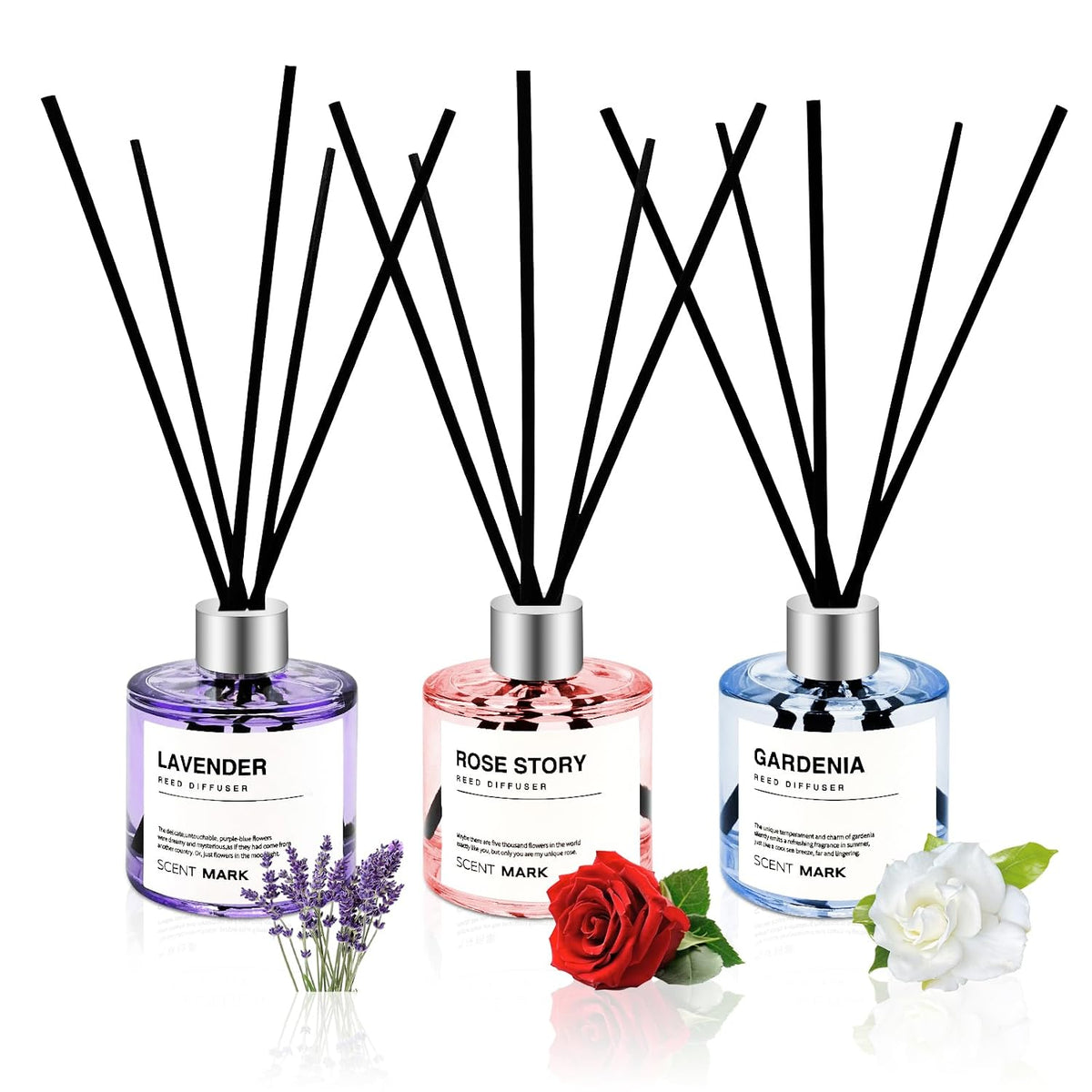 Reed Diffuser Set of 3 Pack