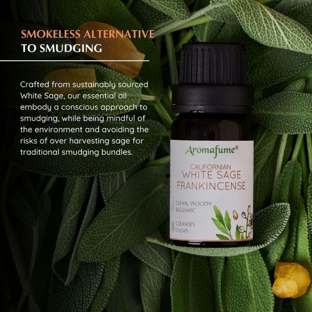 White Sage & Frankincense Essential Oil Diffuser Blend by Aromafume | 3x10ml/0.33 fl oz | Aromatherapy oil for cleansing negative energy, protection | Ethically sourced sage oil for smokeless smudging
