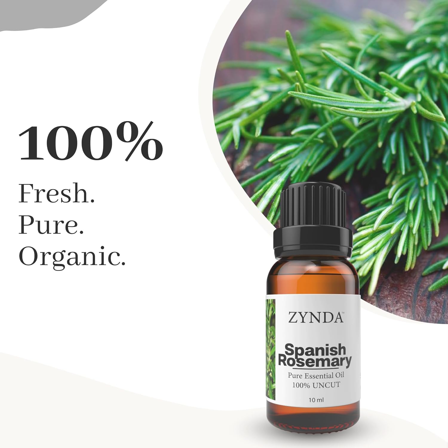Spanish Rosemary Oil for Hair Growth – 100% Pure Rosemary Essential Oil, Organic Extract for Healthy Scalp, Lab Tested Hair Thickening & Skin Care, Aromatherapy & Massage Blend, 10ml Bottle