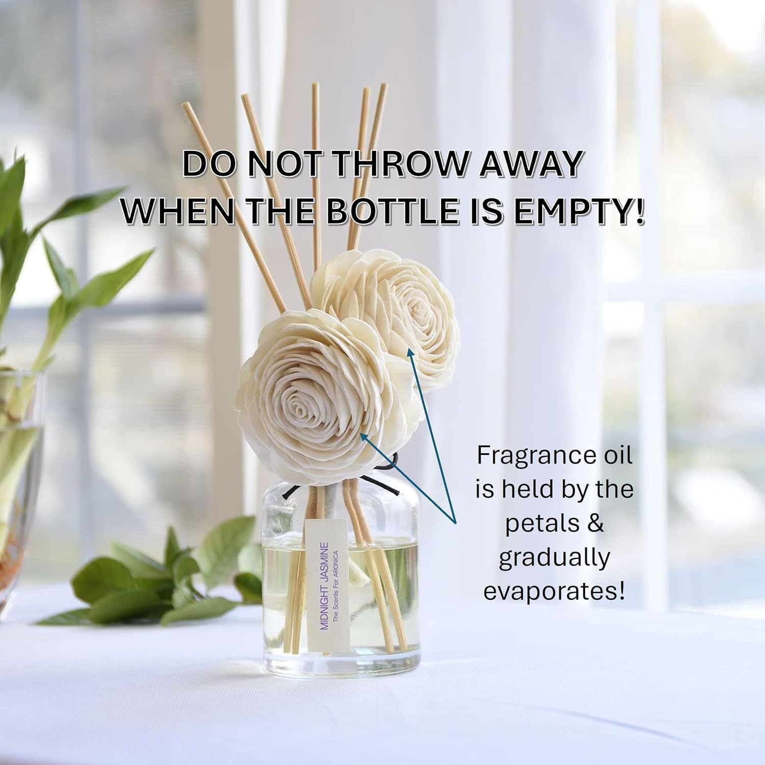 Aronica Twin Sola Diffuser 160ml_Eucalyptus and Bergamot Essential Oil Flower Diffuser, Non Toxic Reed Diffusers, Beach Themed Home Room Decor, Natural Gift for Men, Beach Scent